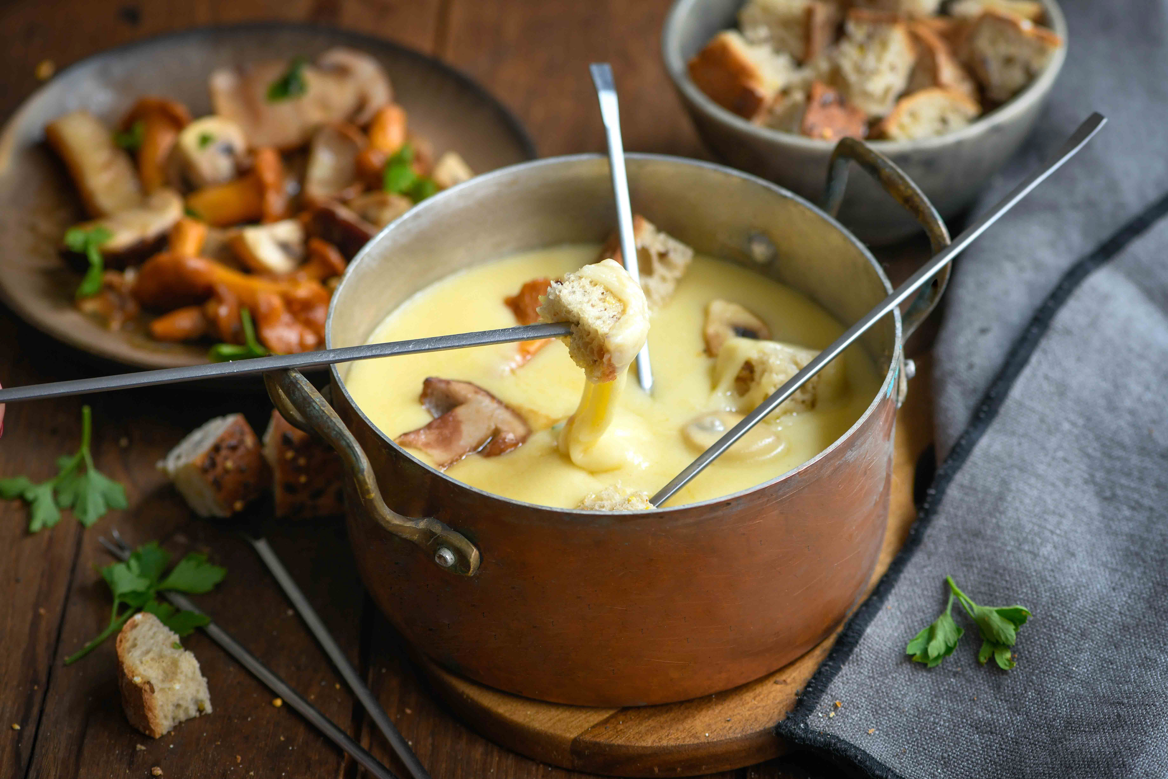 Site Président - Fondue