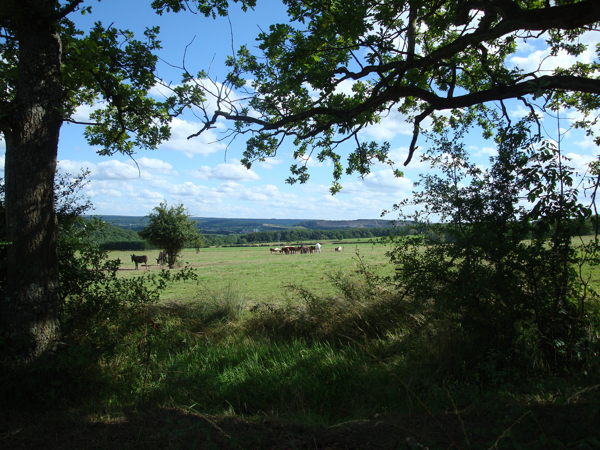 Un endroit de toute splendeur , rayonnant de charme se situant dans une région qui prend le nom de "La Fagne"