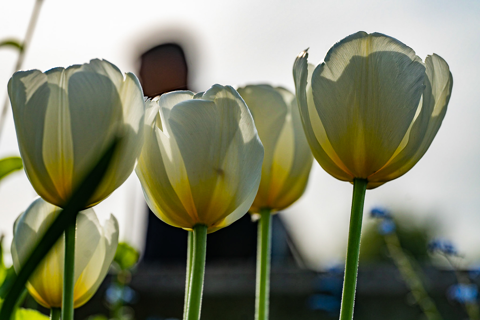 Kingston upon Thames