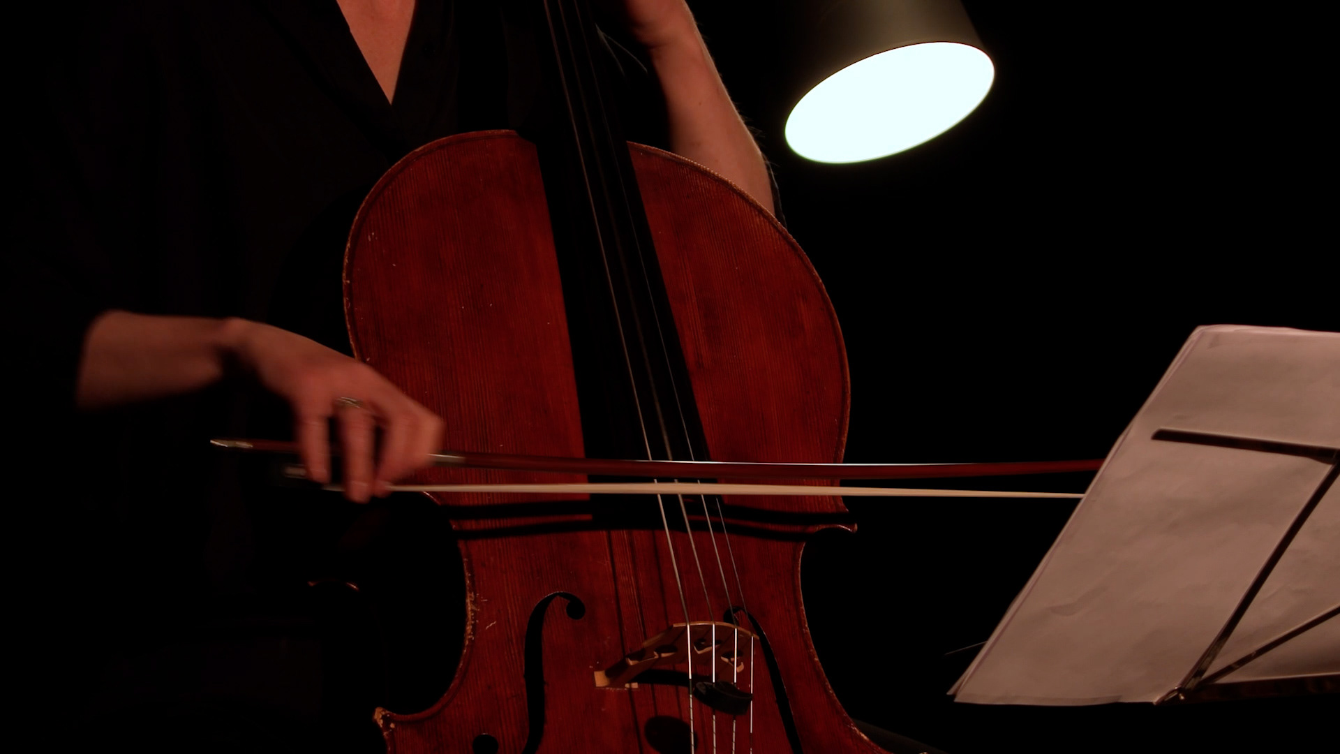 Rodrigo Bauza Concert