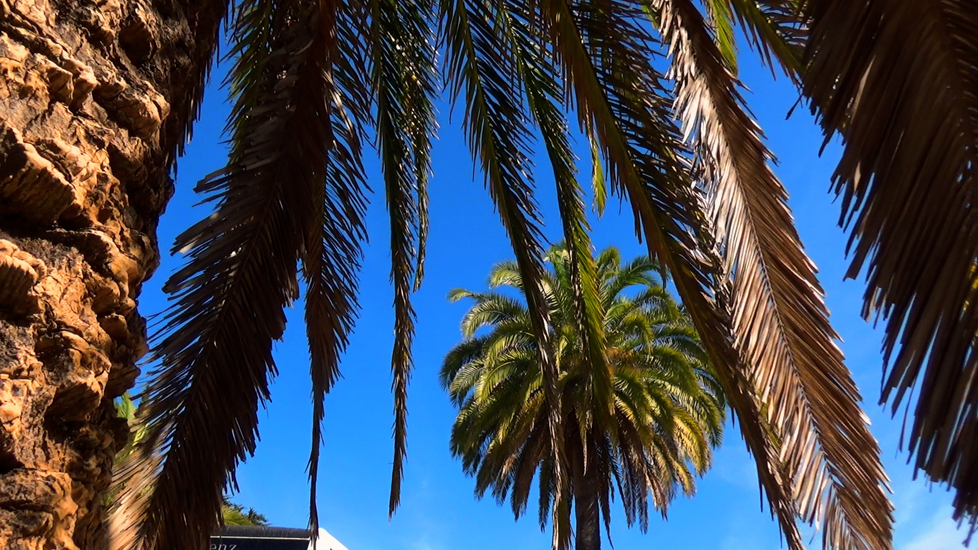 Portugal Through the Lens