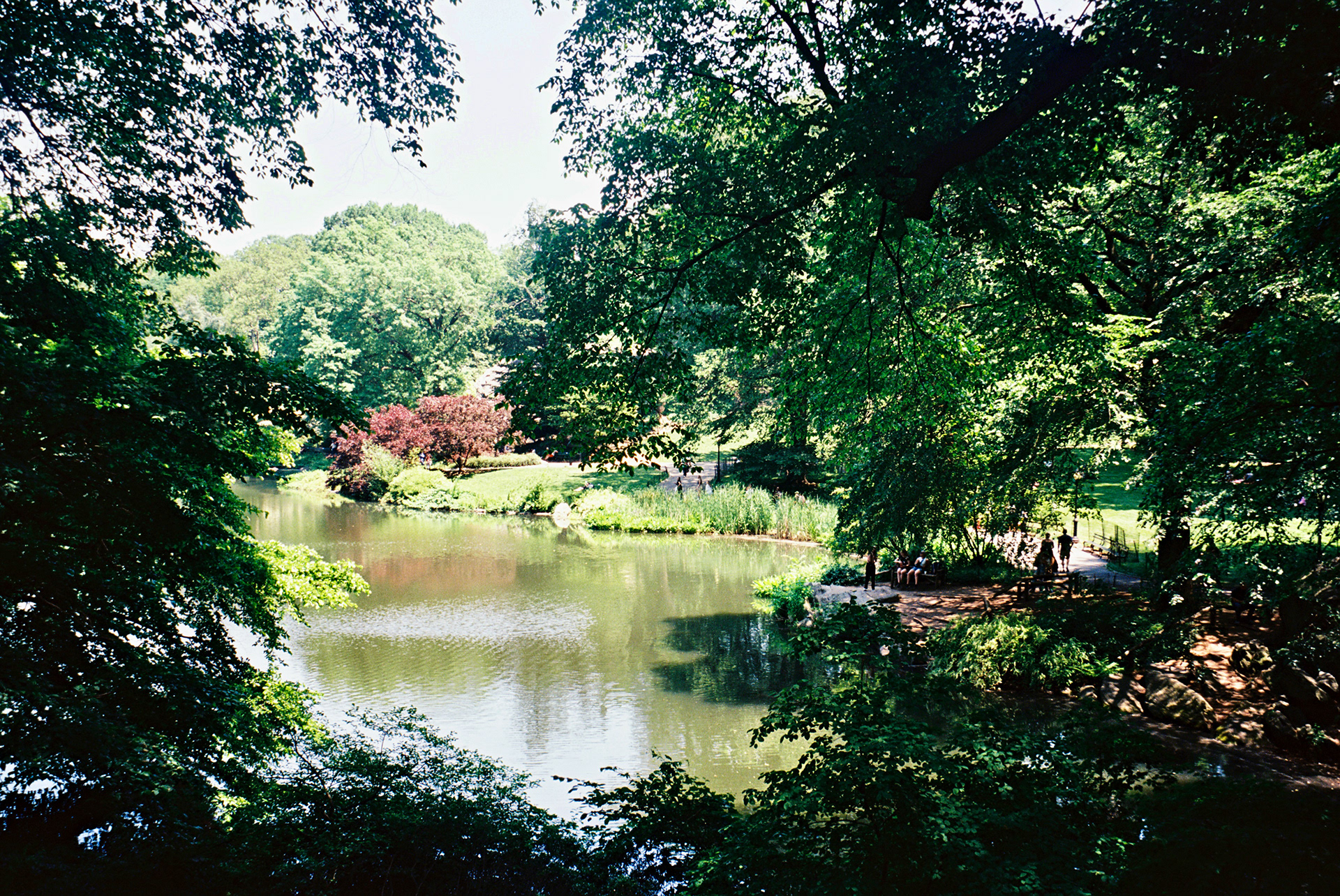 Central Park
