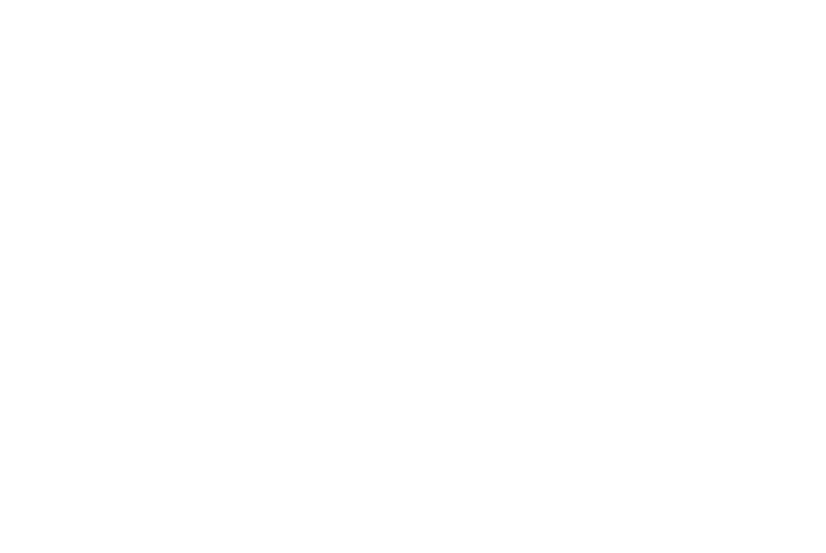 Logan Santilli