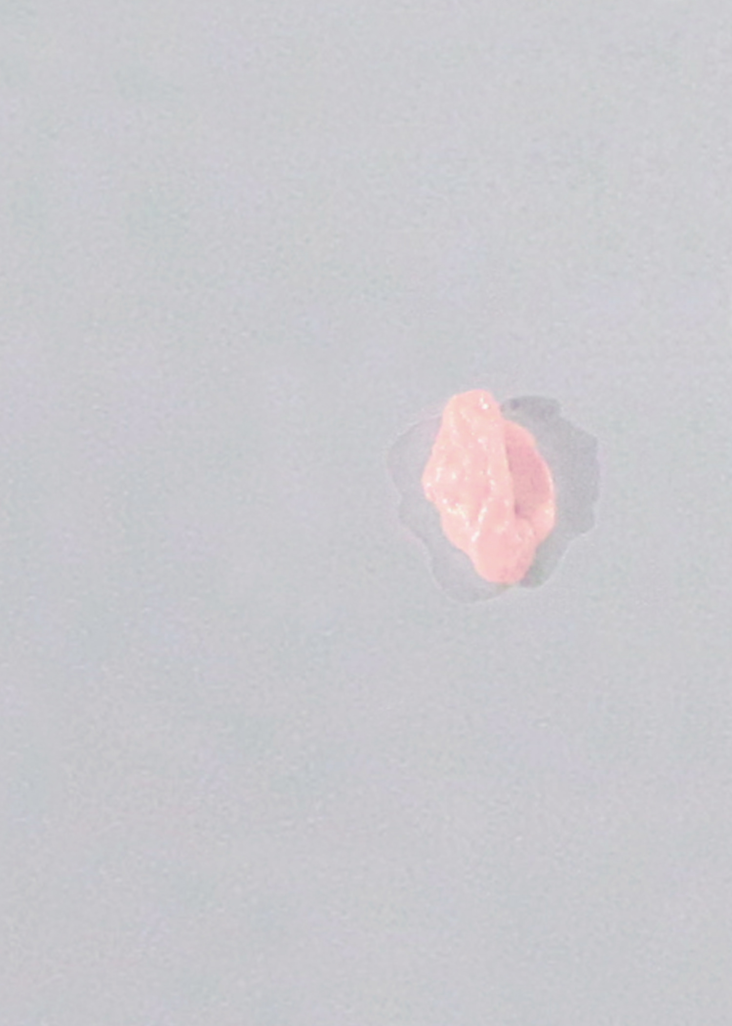 Small Blossom 2