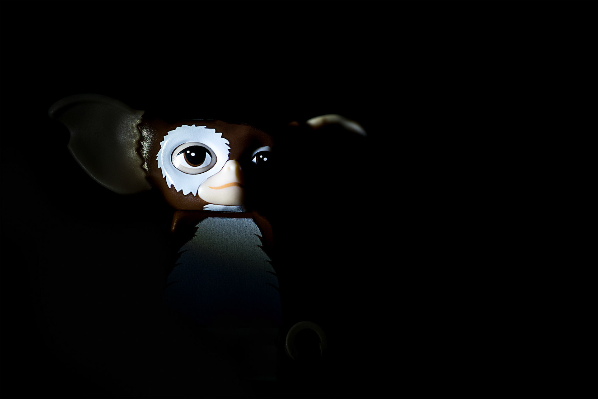 One Light Potrait: Gizmo