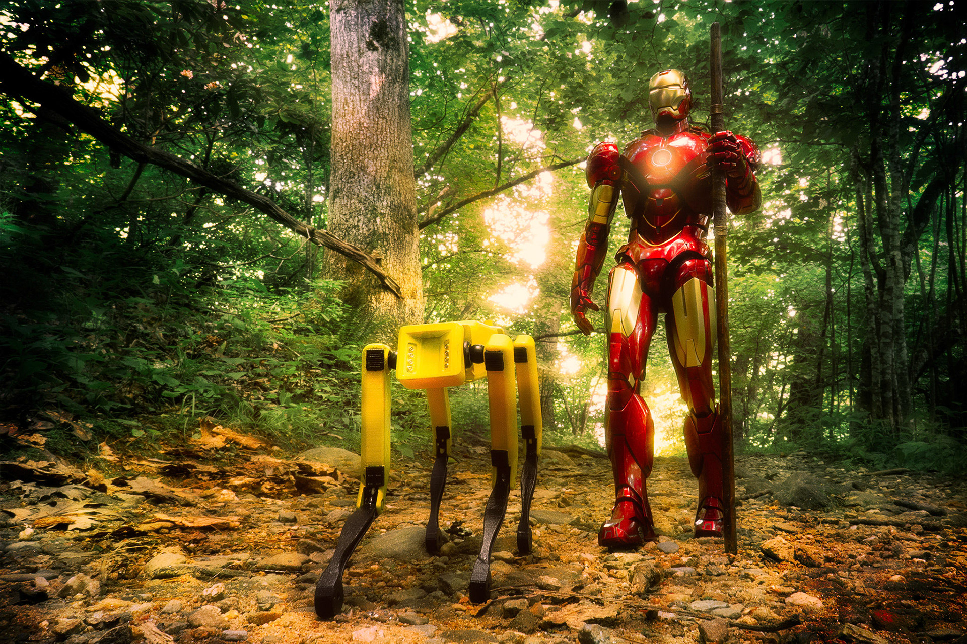 Taking a walk in the woods.