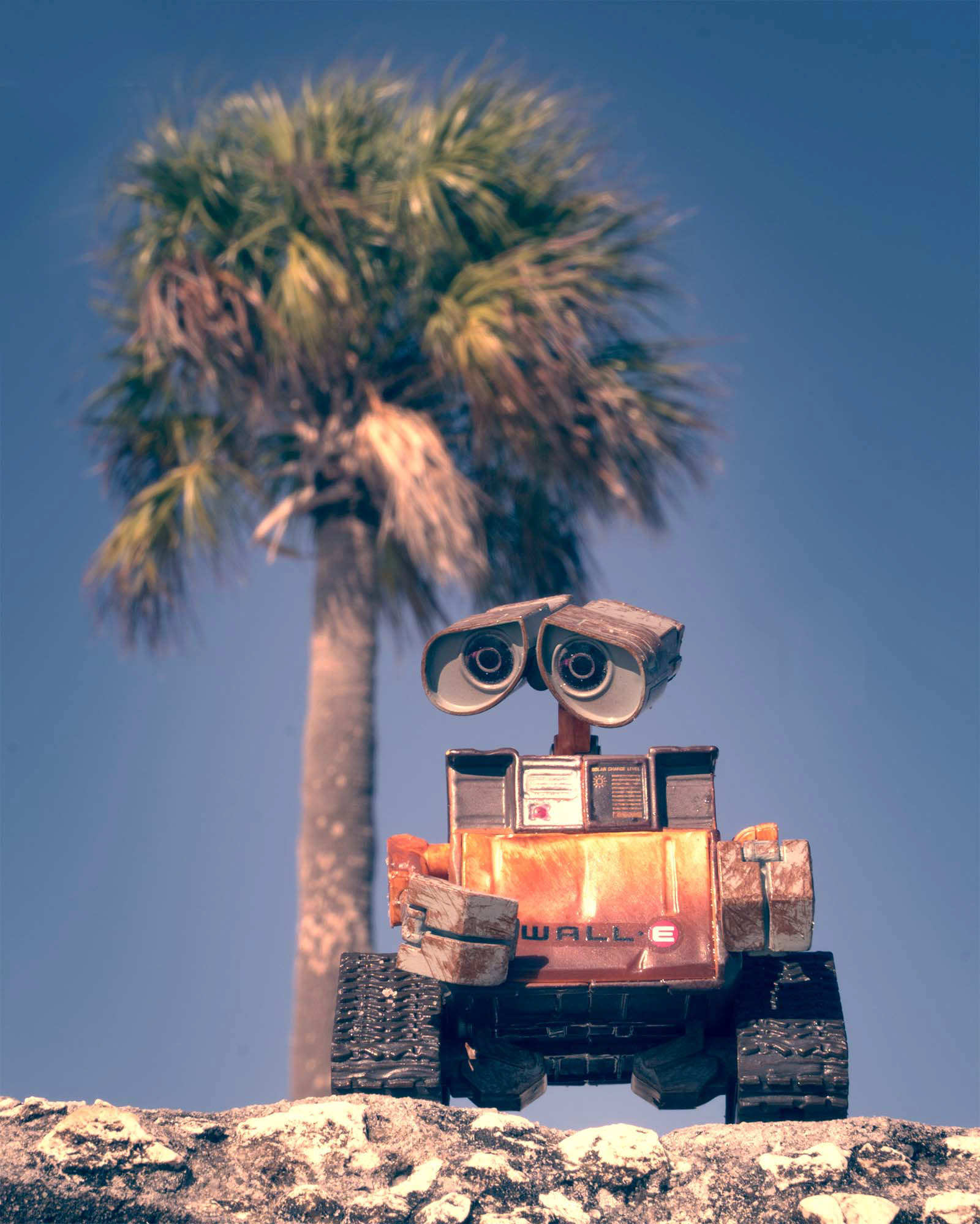 Studio Dave - Wall-e