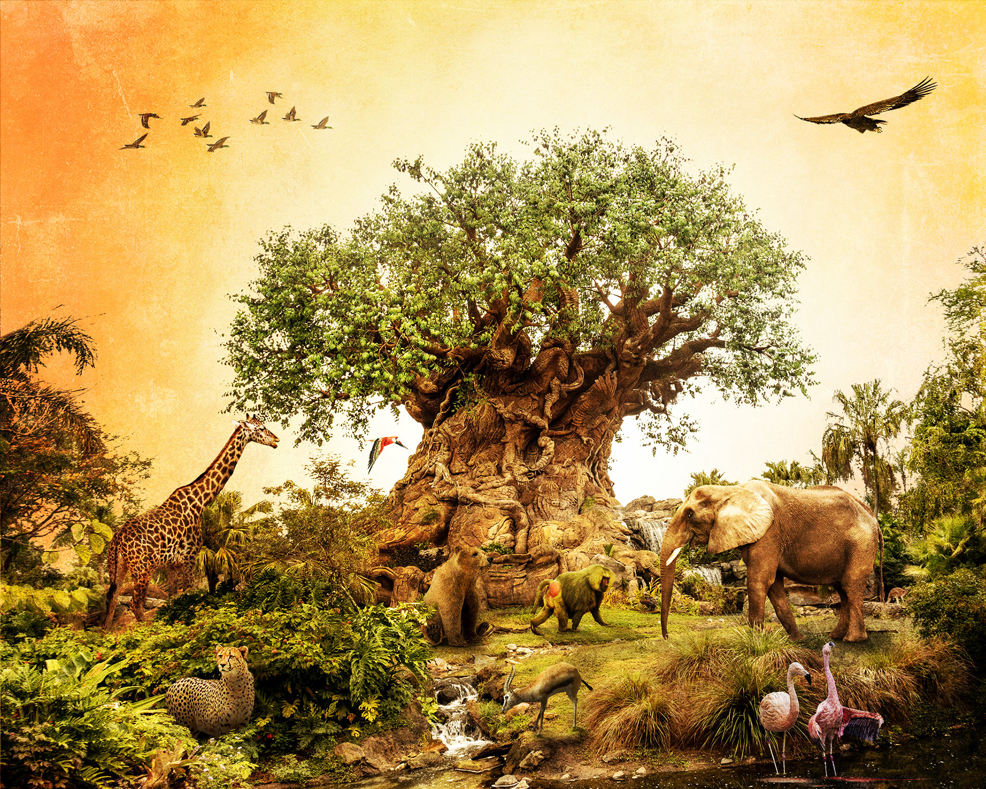 Guru Award Winnerr: Tree Of Life