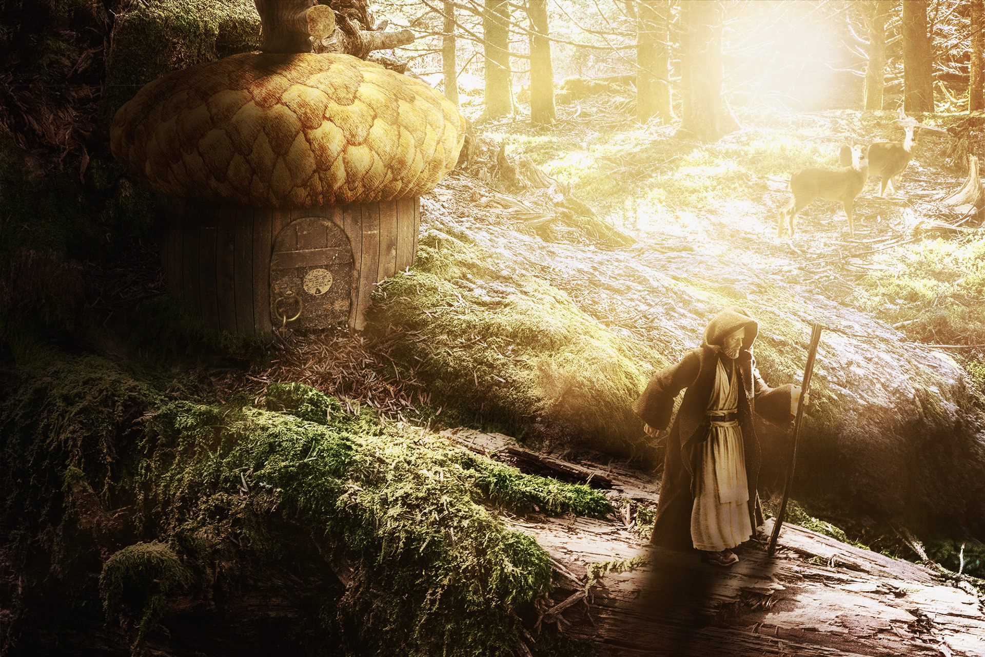 The Monk