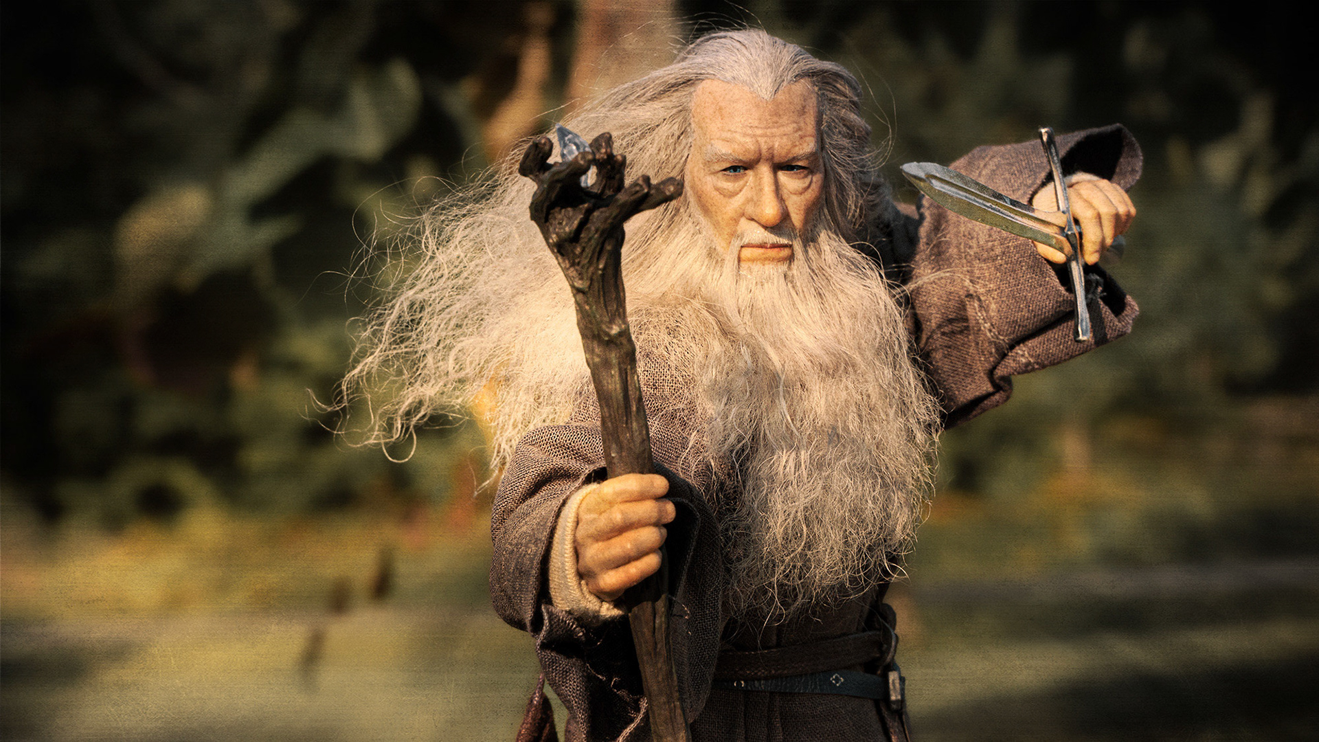Gandalf The Grey