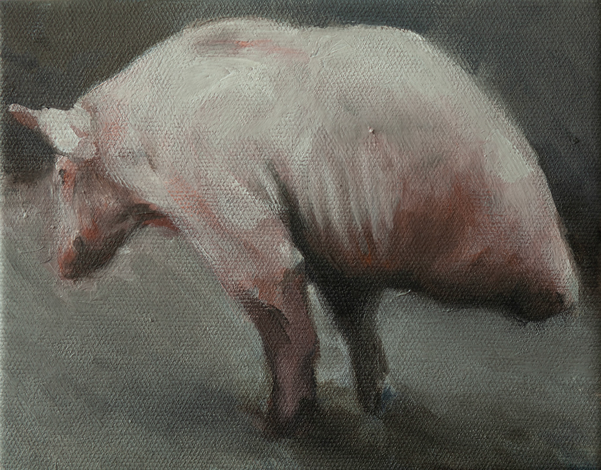 Ham, 2015, oil on canvas, 19x24 cm