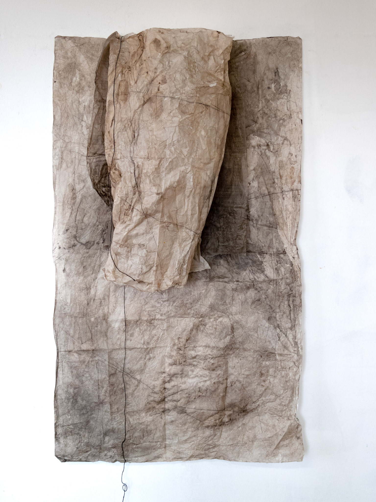 Map, skin I, 2018, mixed media on paper, magnets, 165x100x23 cm
