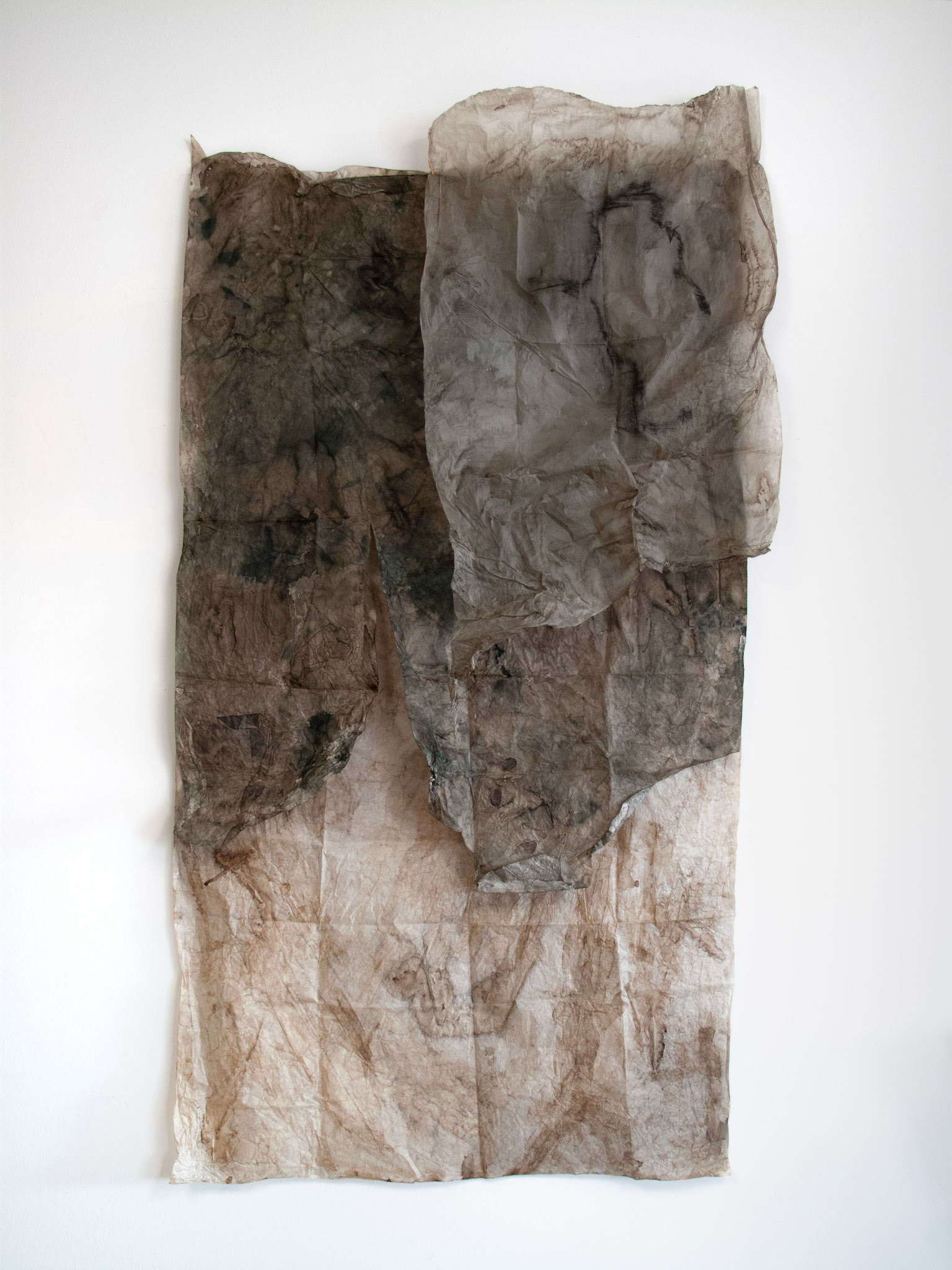 Map, skin II, 2018, mixed media on paper, magnets, 195x97x30 cm