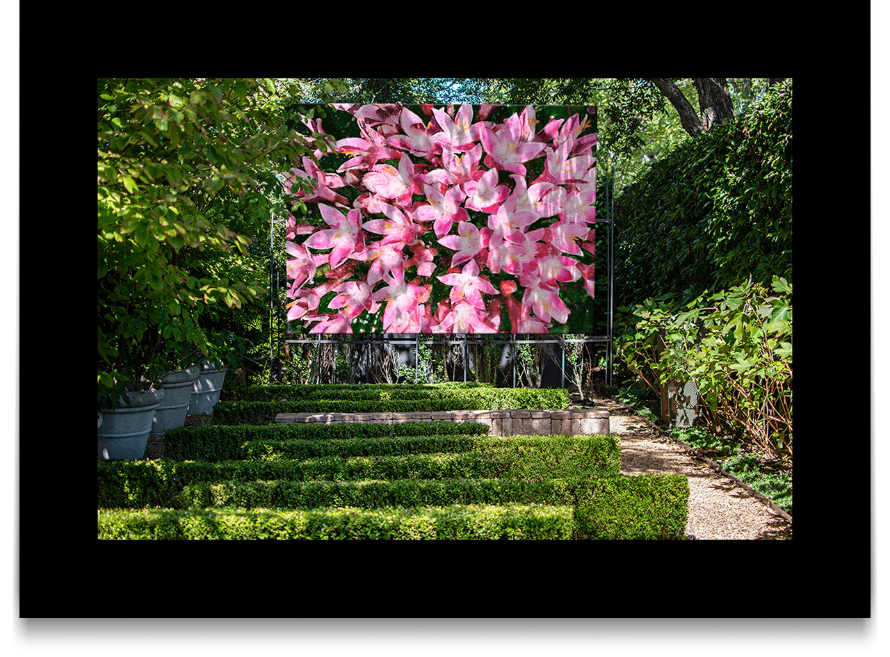 Pink Penta Cluster - Painting by Ben Gilliand - for Charlotte Comer Interiors - Photo by Ben Gilliand