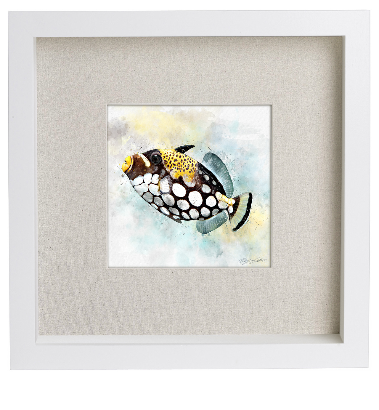 Trigger Fish - Watercolor by Artist: Ben Gilliand, BGV Agency, bgvisual.com