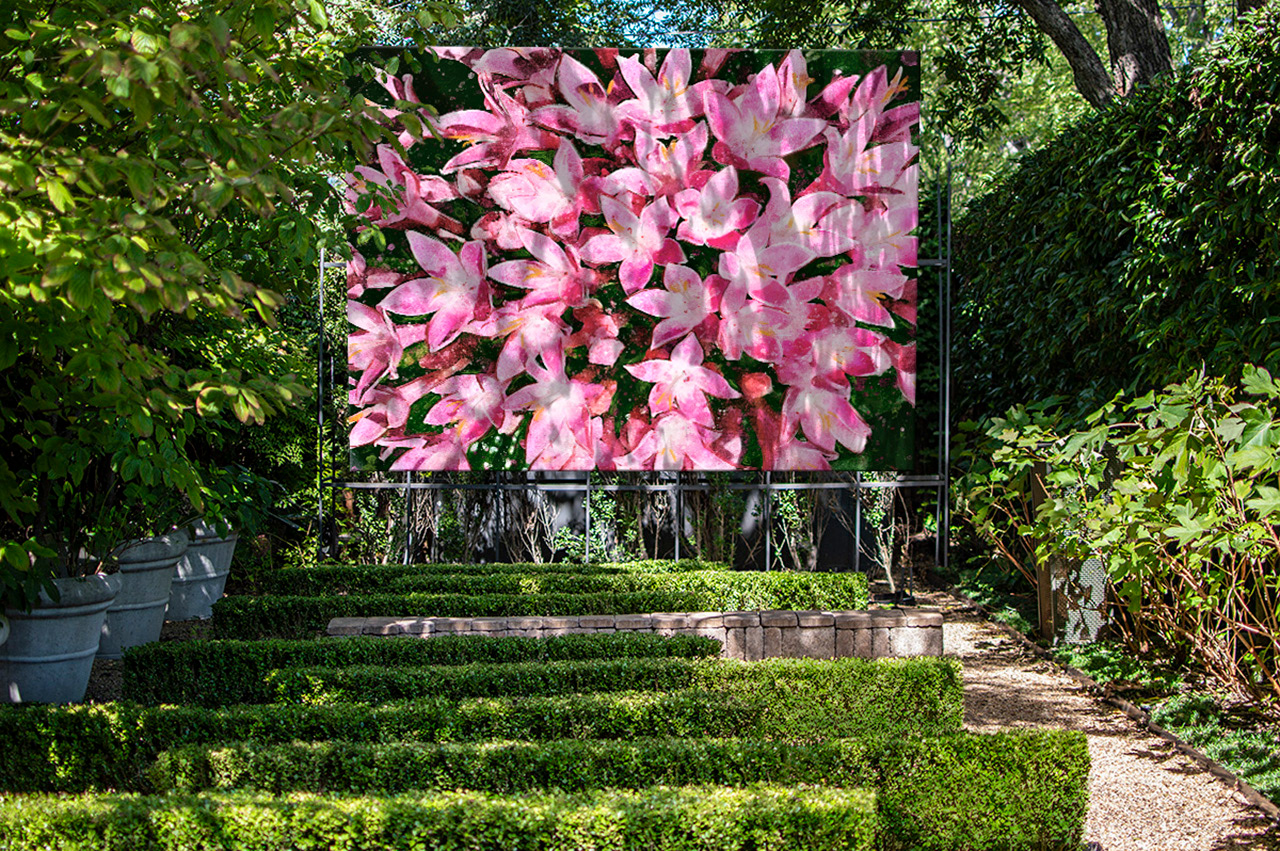 Pink Pentas, by Artist: Ben Gilliand, BGV Agency, bgvisual.com