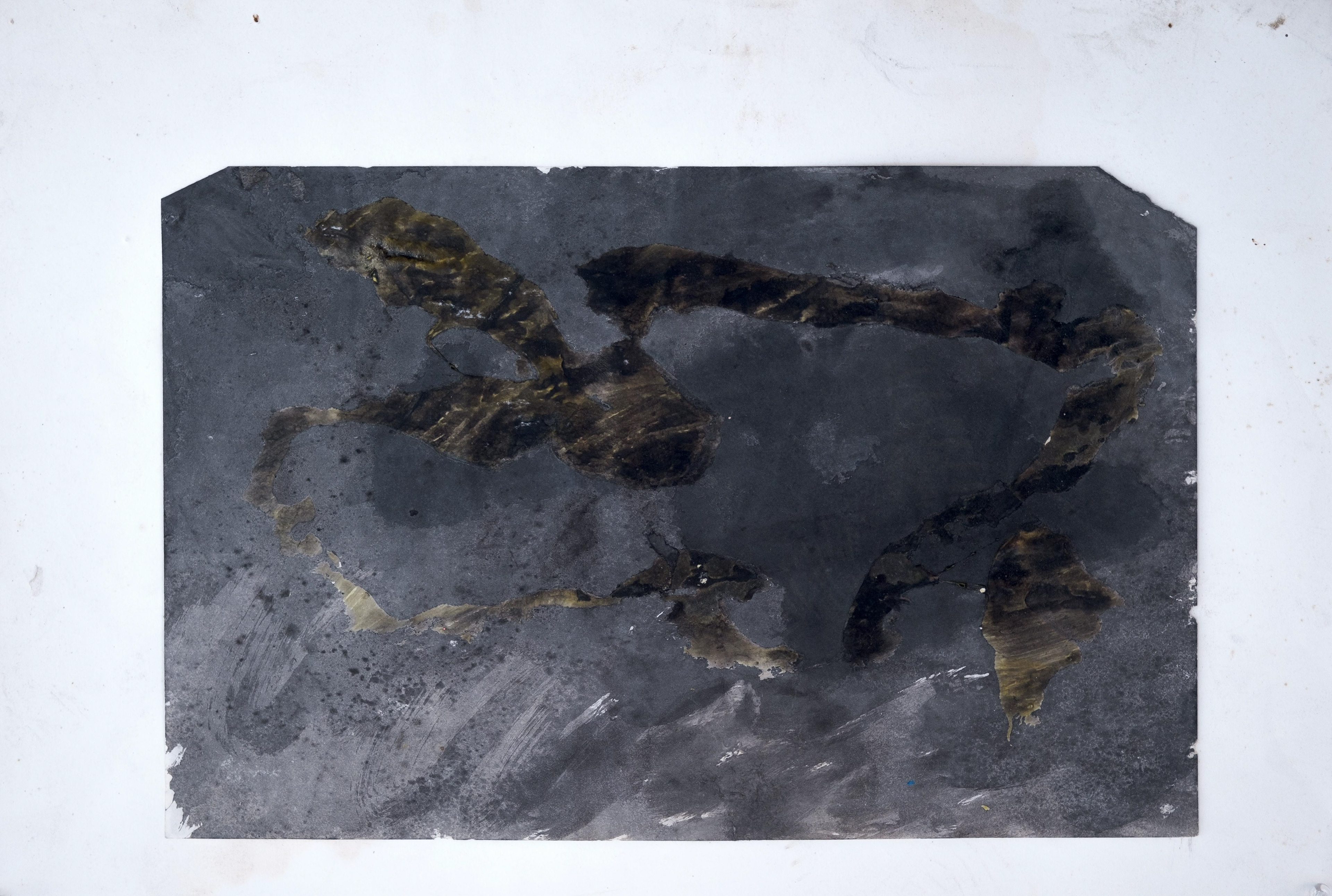 "Siluet", 2010  |  Mixed media on paper  |  15" x 22"    