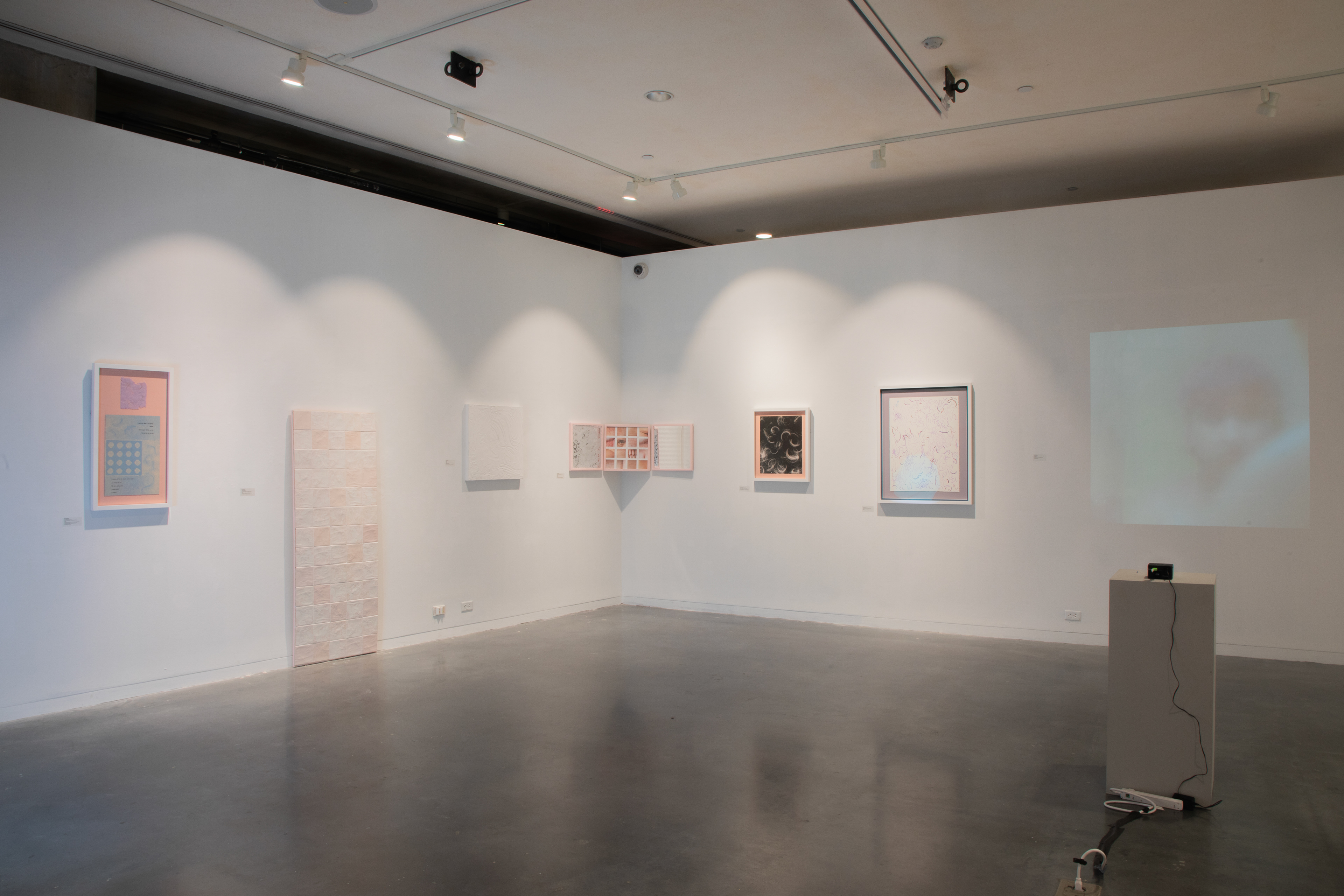 2 Inside Walls of Gallery Install