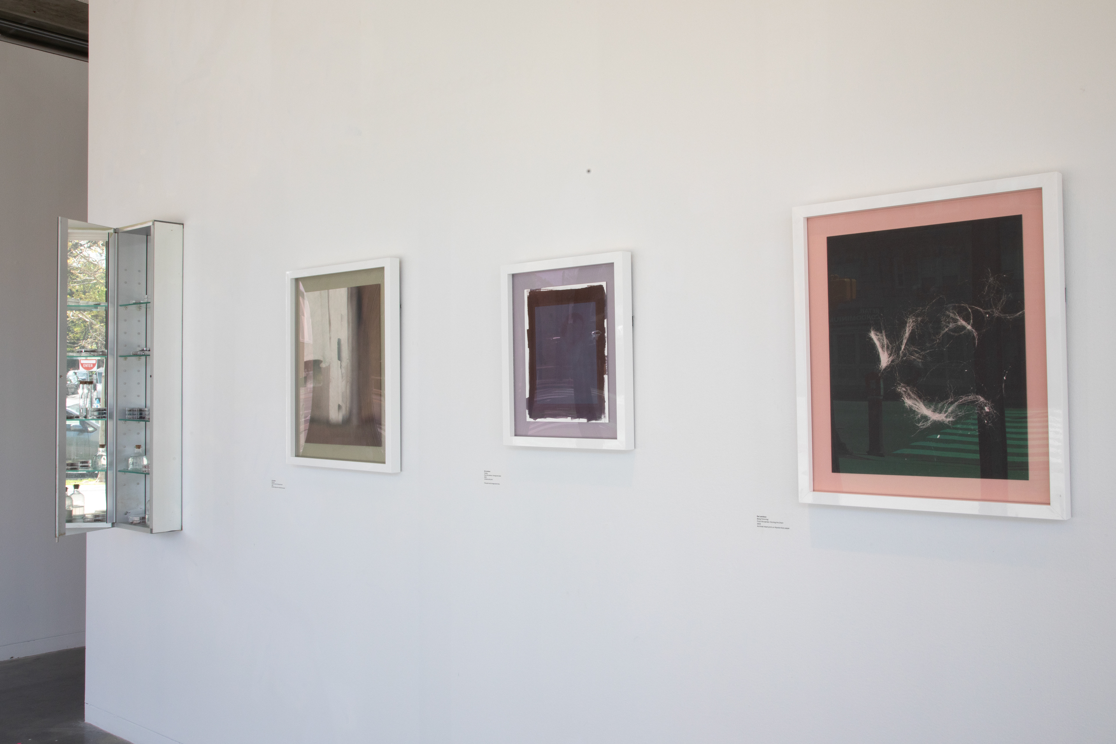 Close Up Image of 2 Hiromi Prints and 1 Salt Print in the Smaller Frame