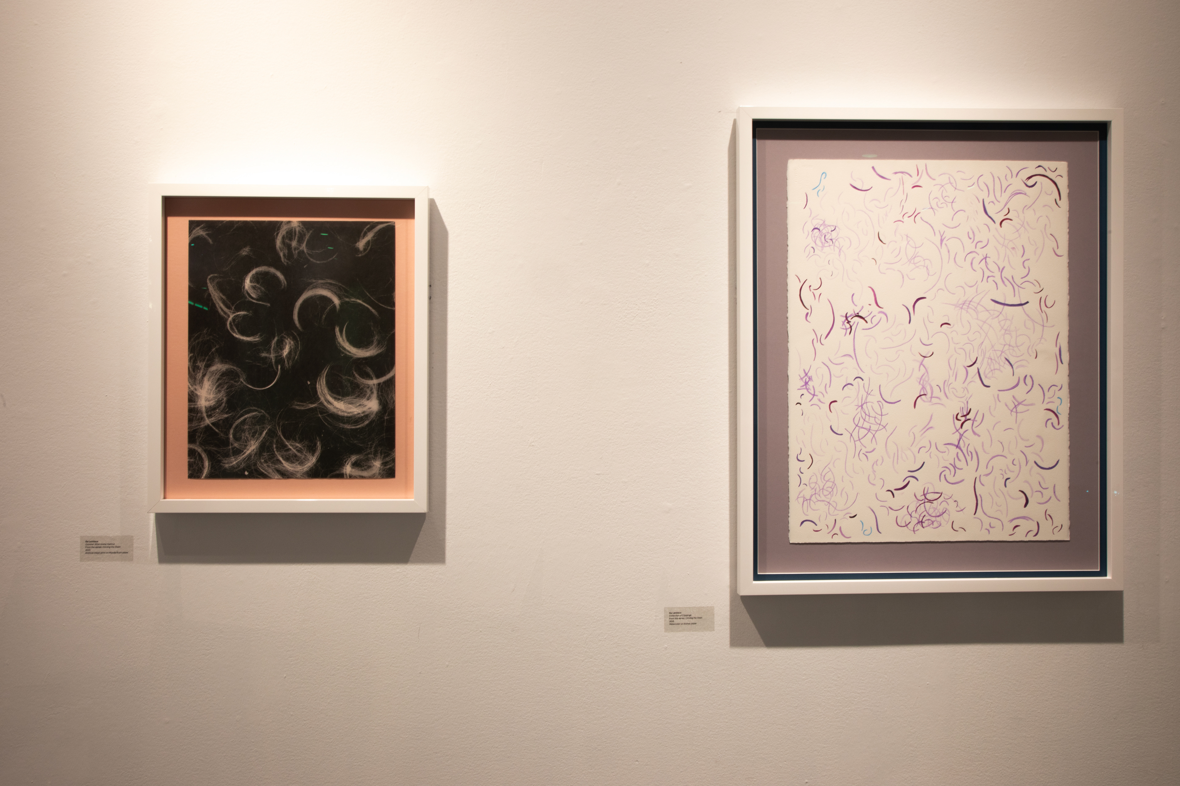 Hair Photogram and Watercolor Piece Based on Hair Photogram