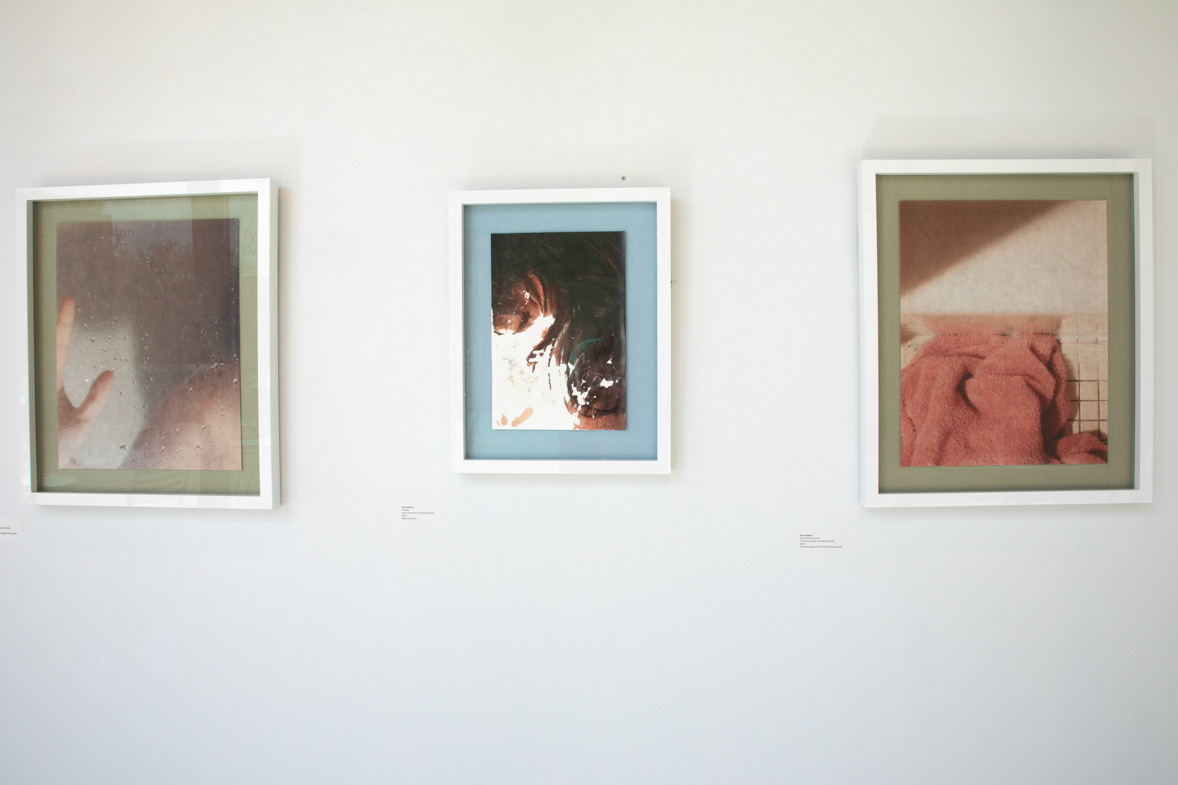 2 Hiromi Prints Sandwiching 1 Bleach Print