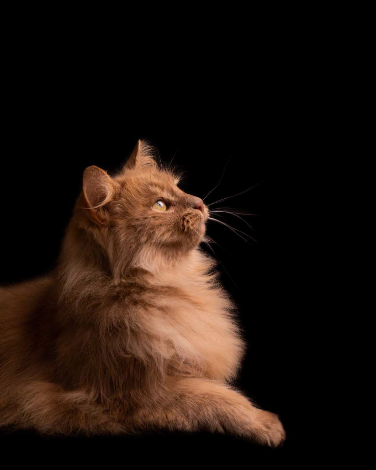 Photo by Bela Bleier