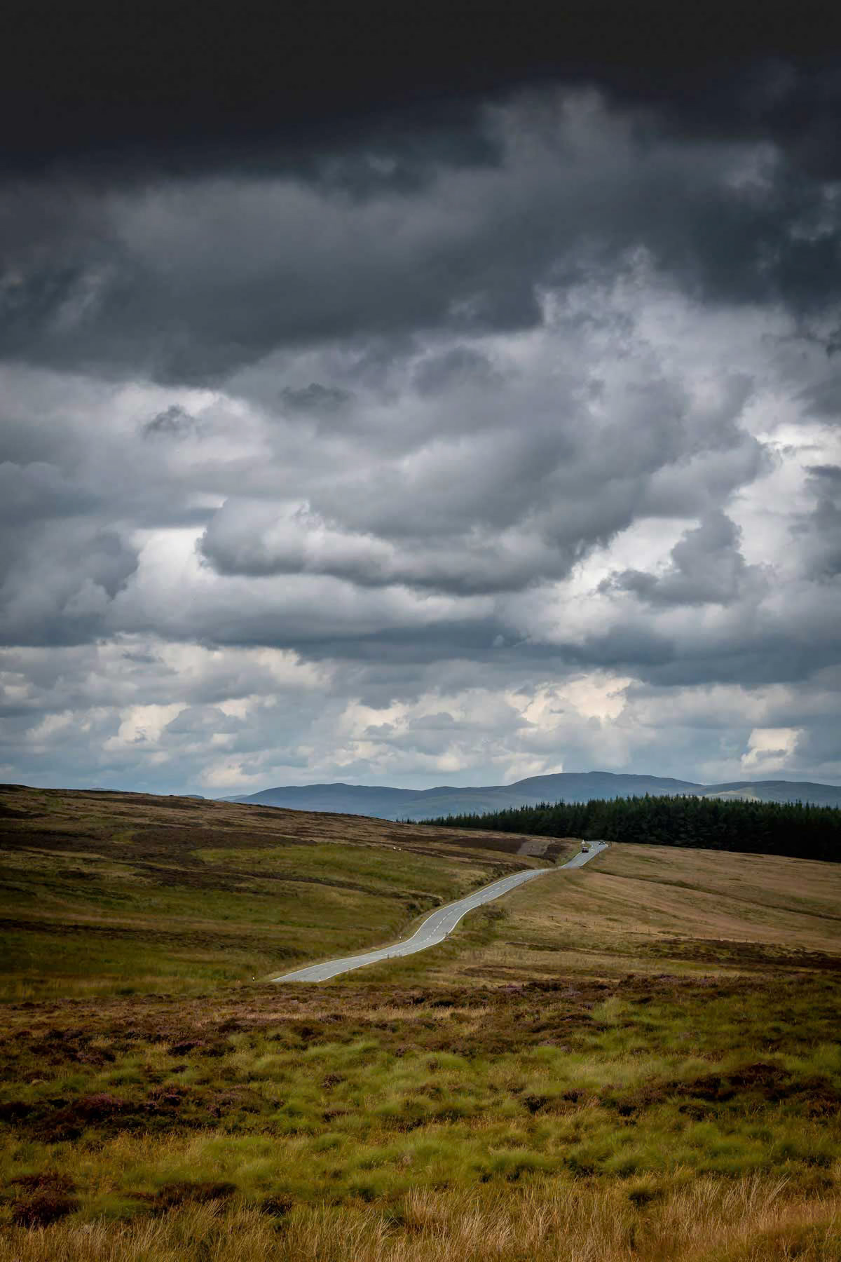 Photo by Bela Bleier