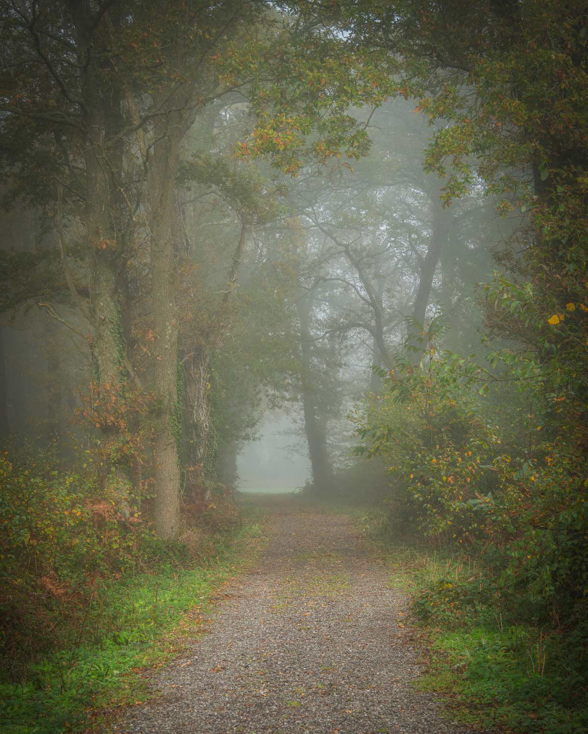 Photo by Bela Bleier