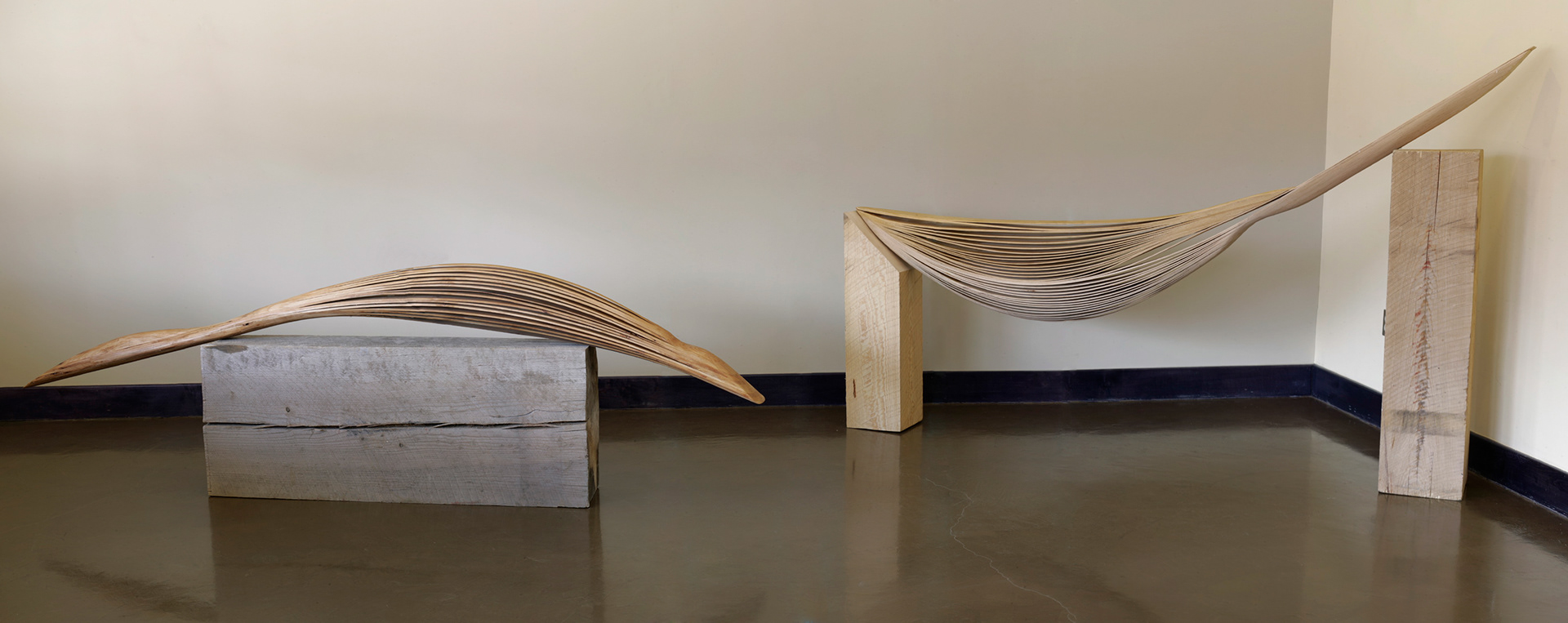 Installation Imagery for Katy Cannon