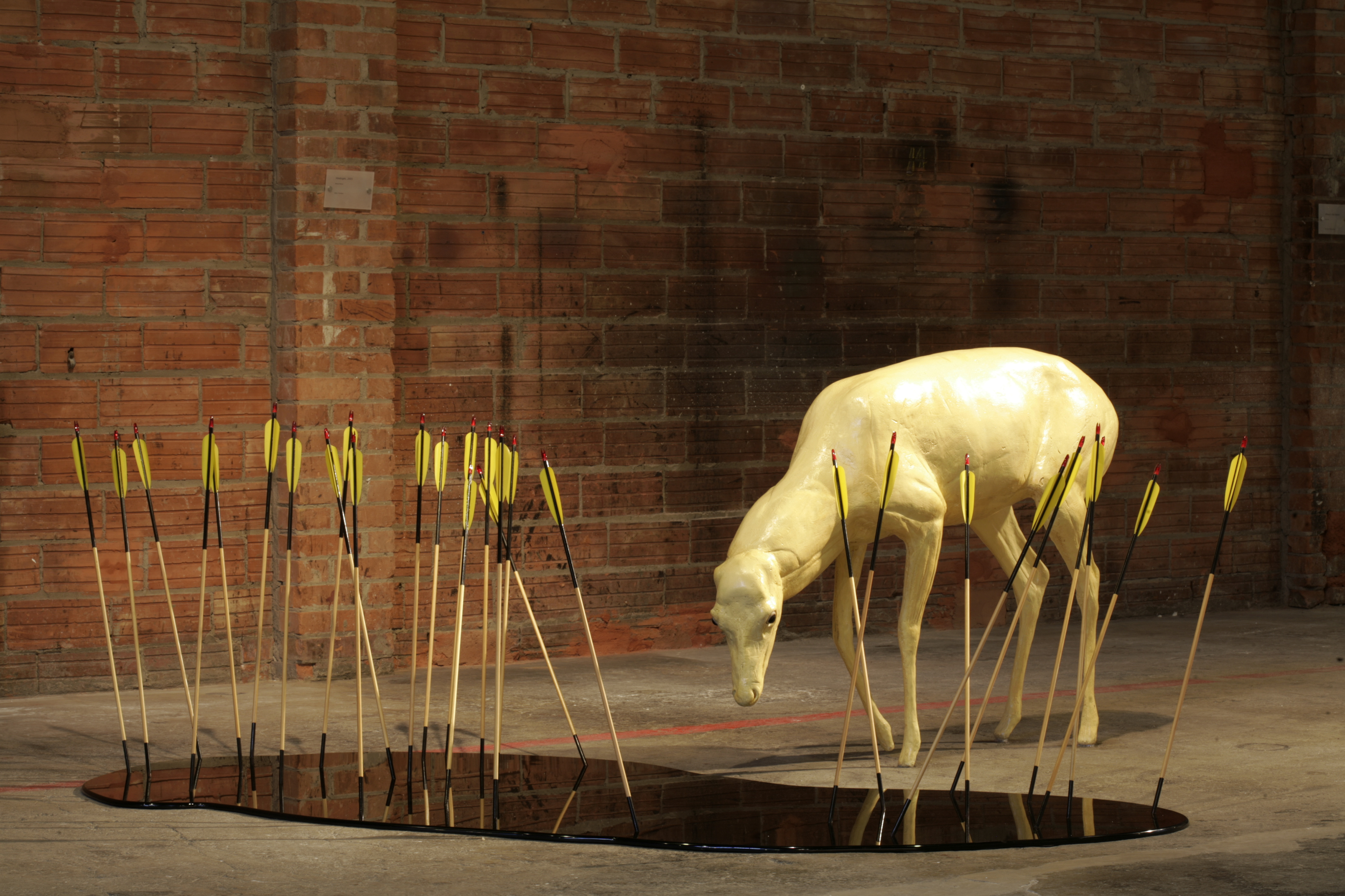 Installation Imagery for SCA Gallery