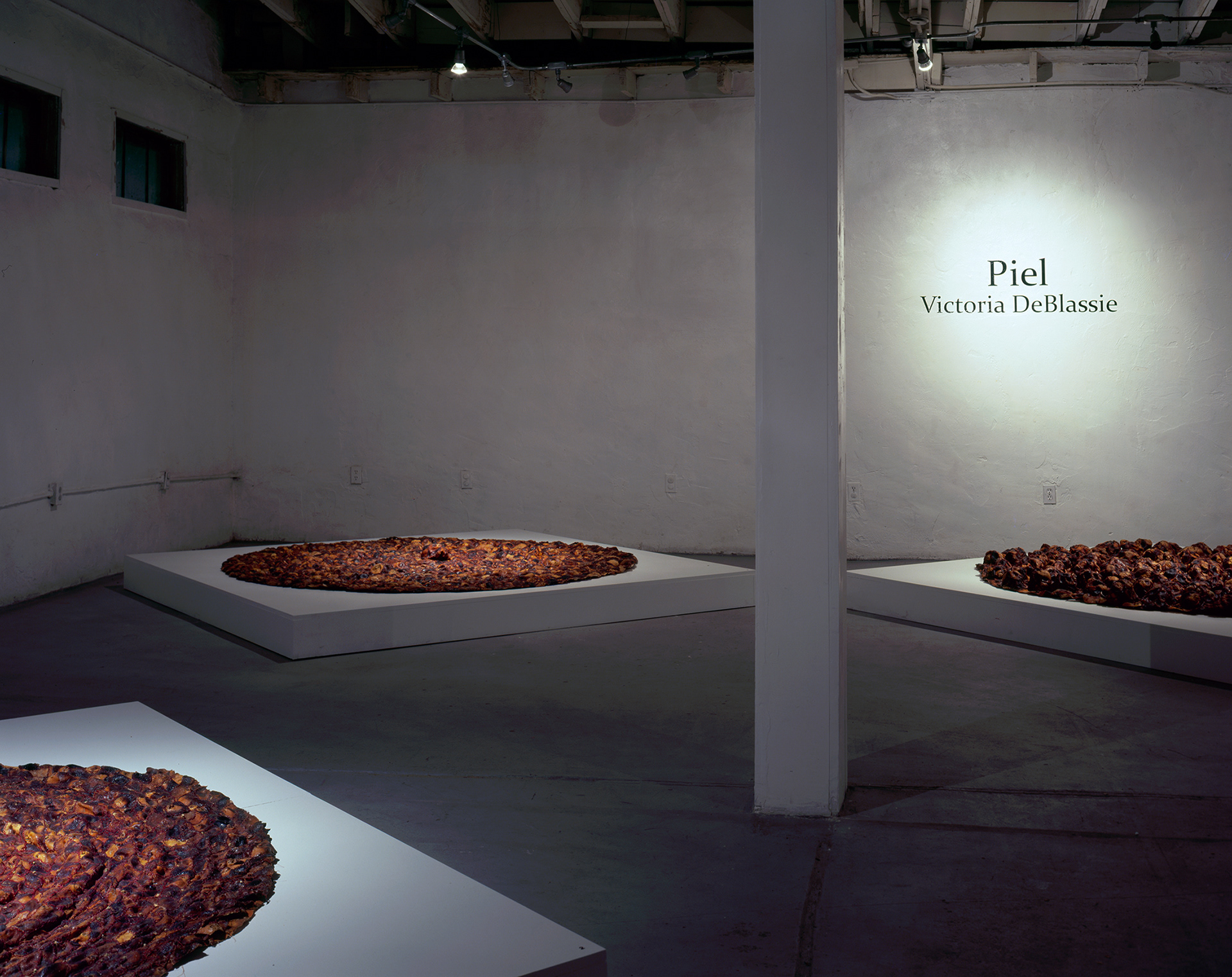 Installation Imagery for Victoria DeBlasse