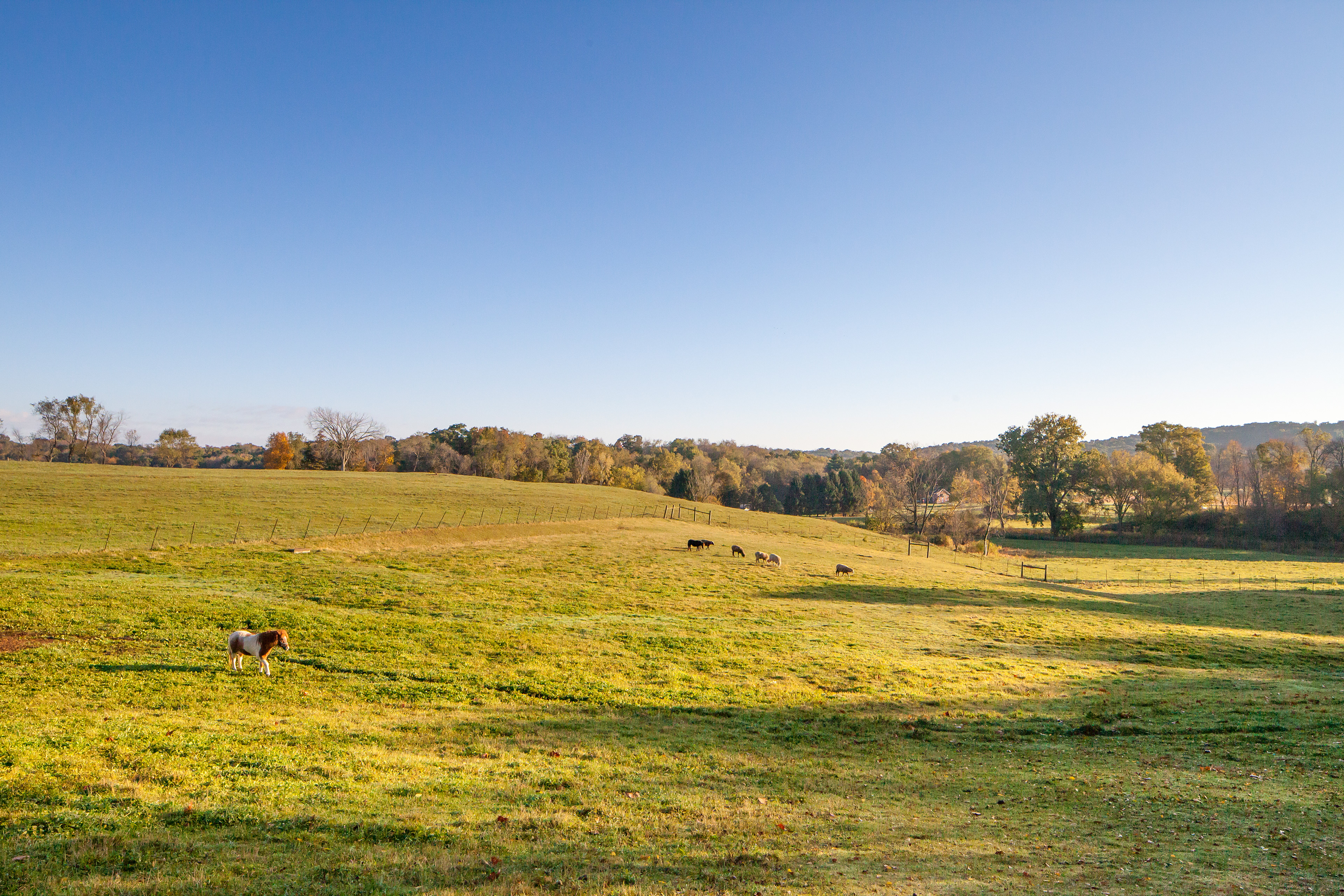 Malabar Farm for Ohio Magazine