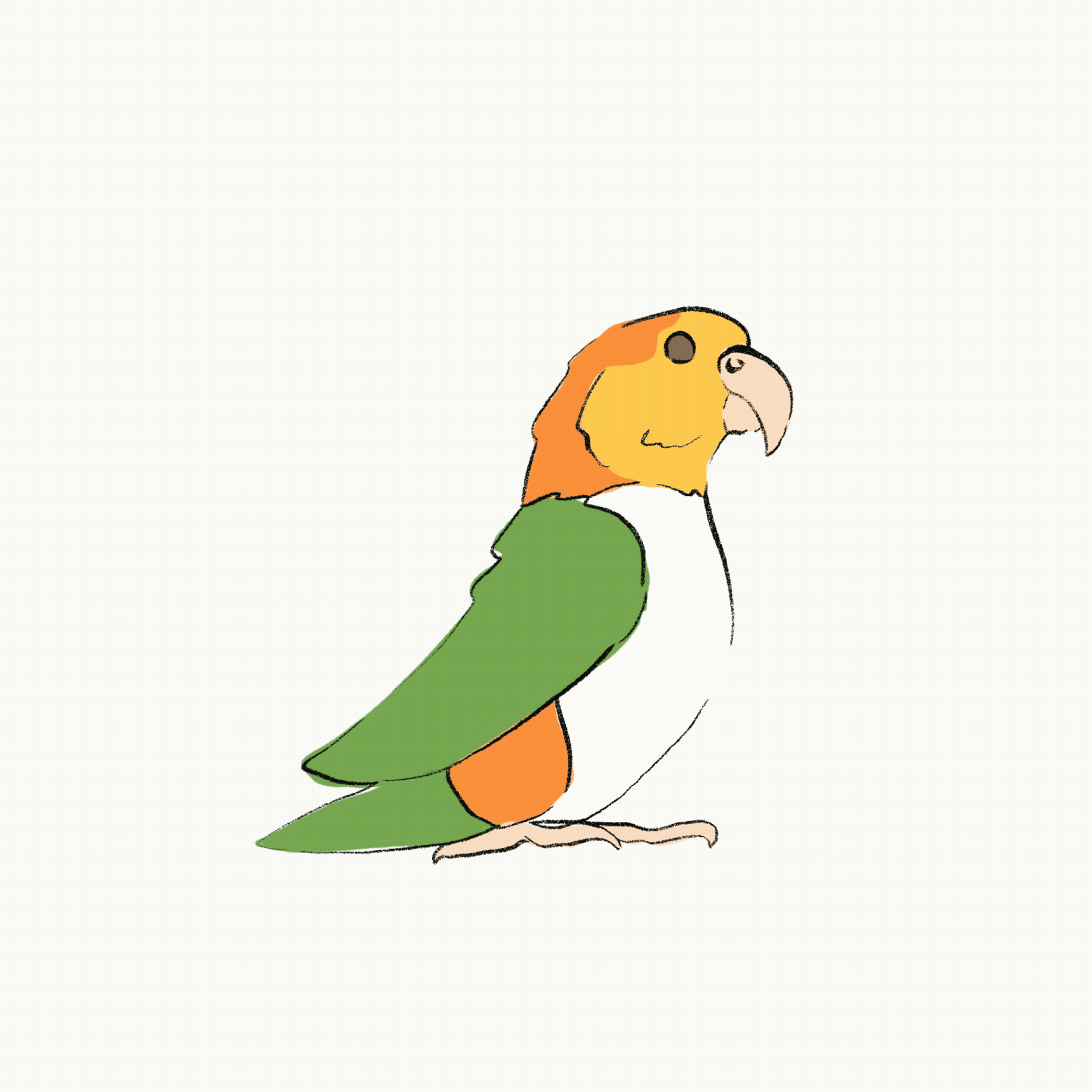 Parrot Walk Cycle