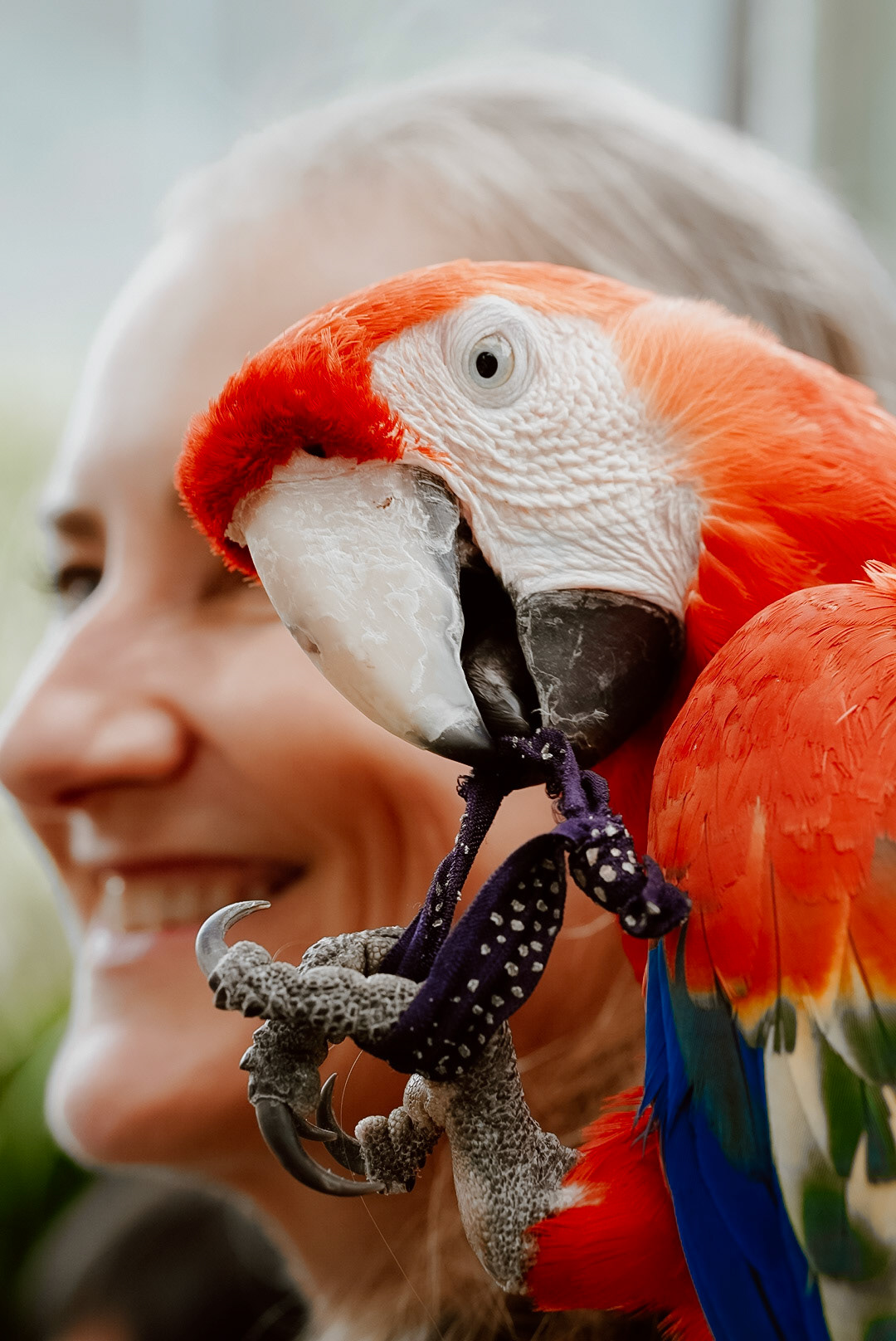 Maleney Bird Park, 2022