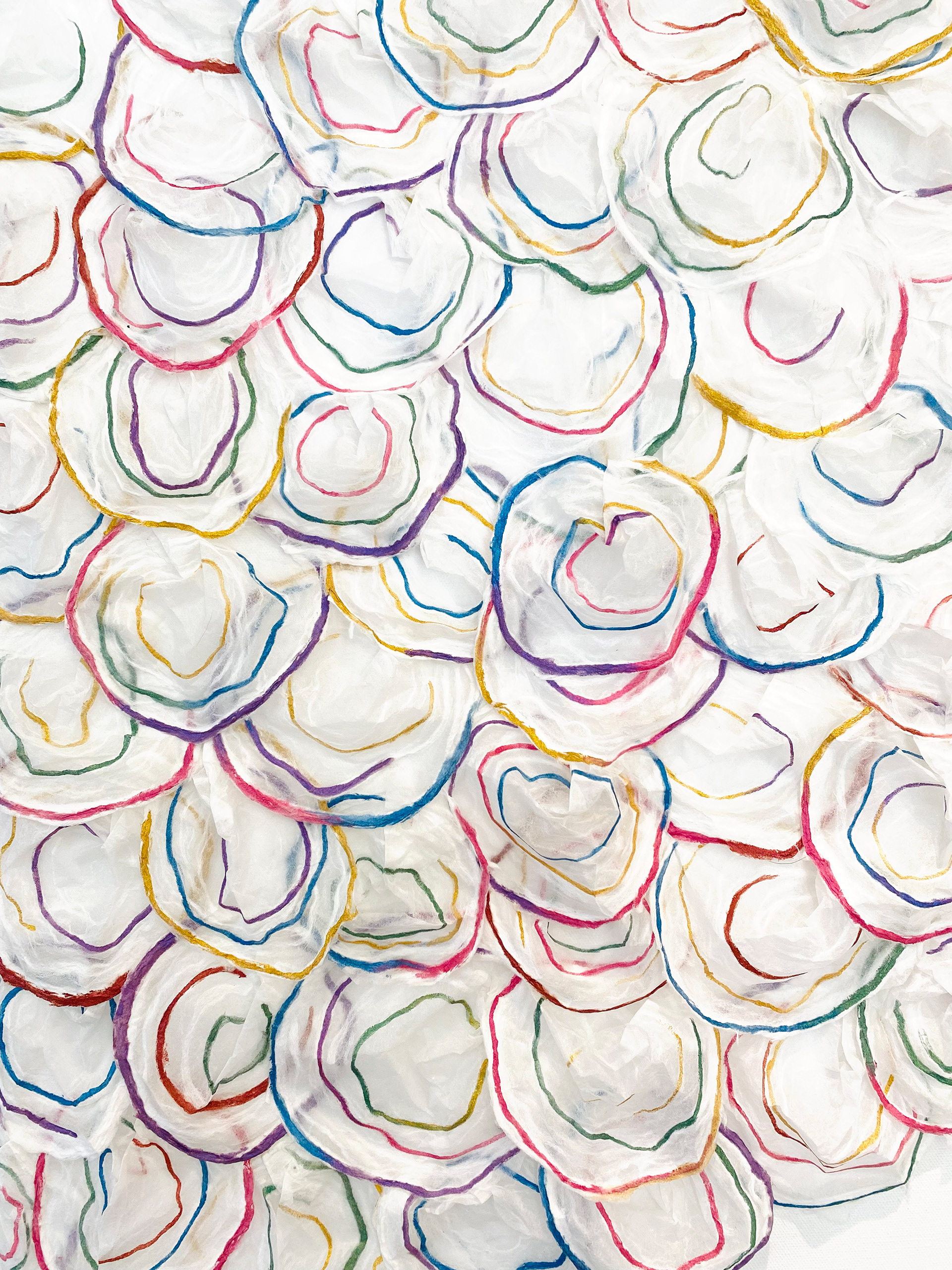 Fiesta! | Ecos Series | Details