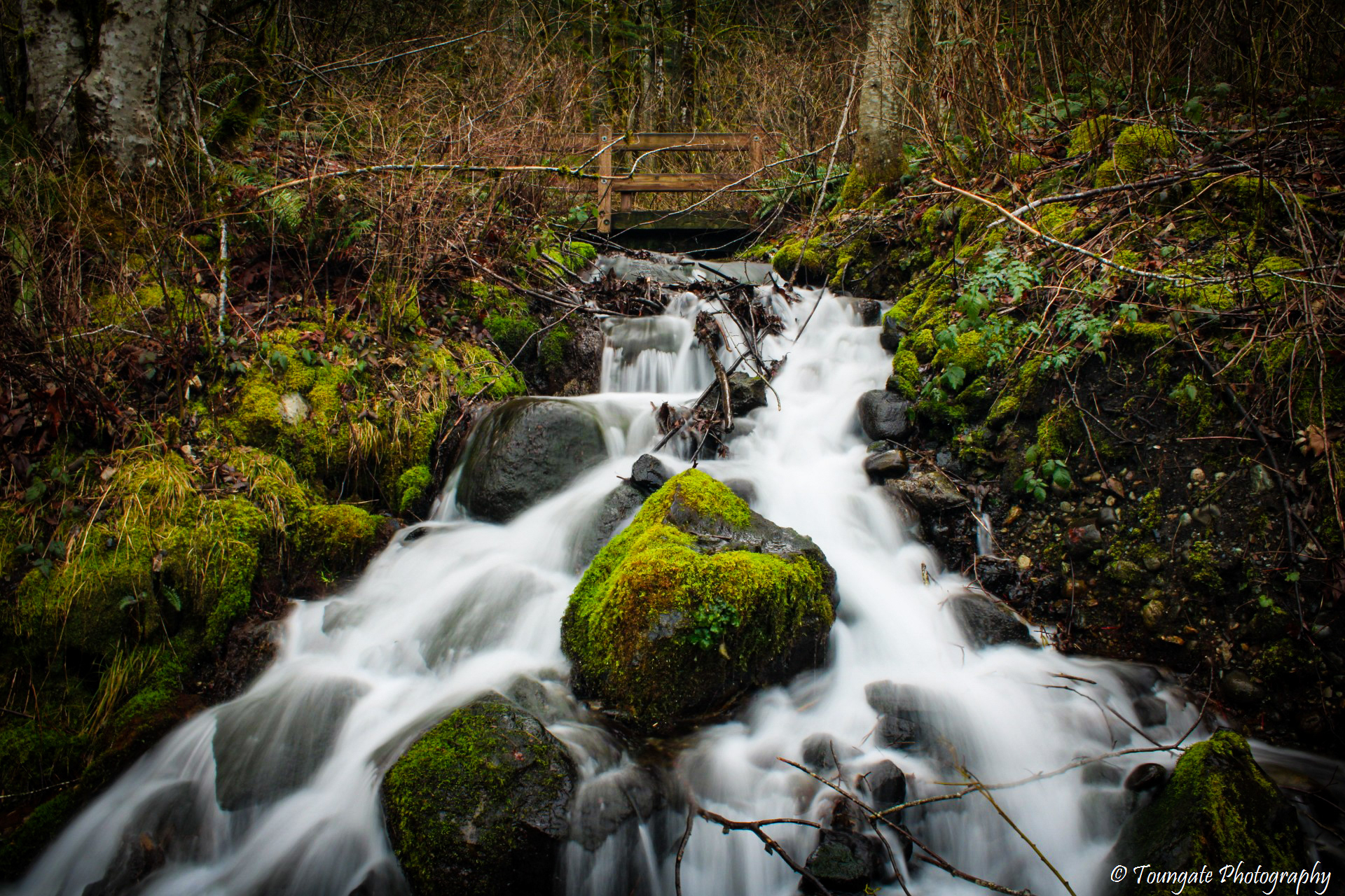 Near Rattlesnake Lake