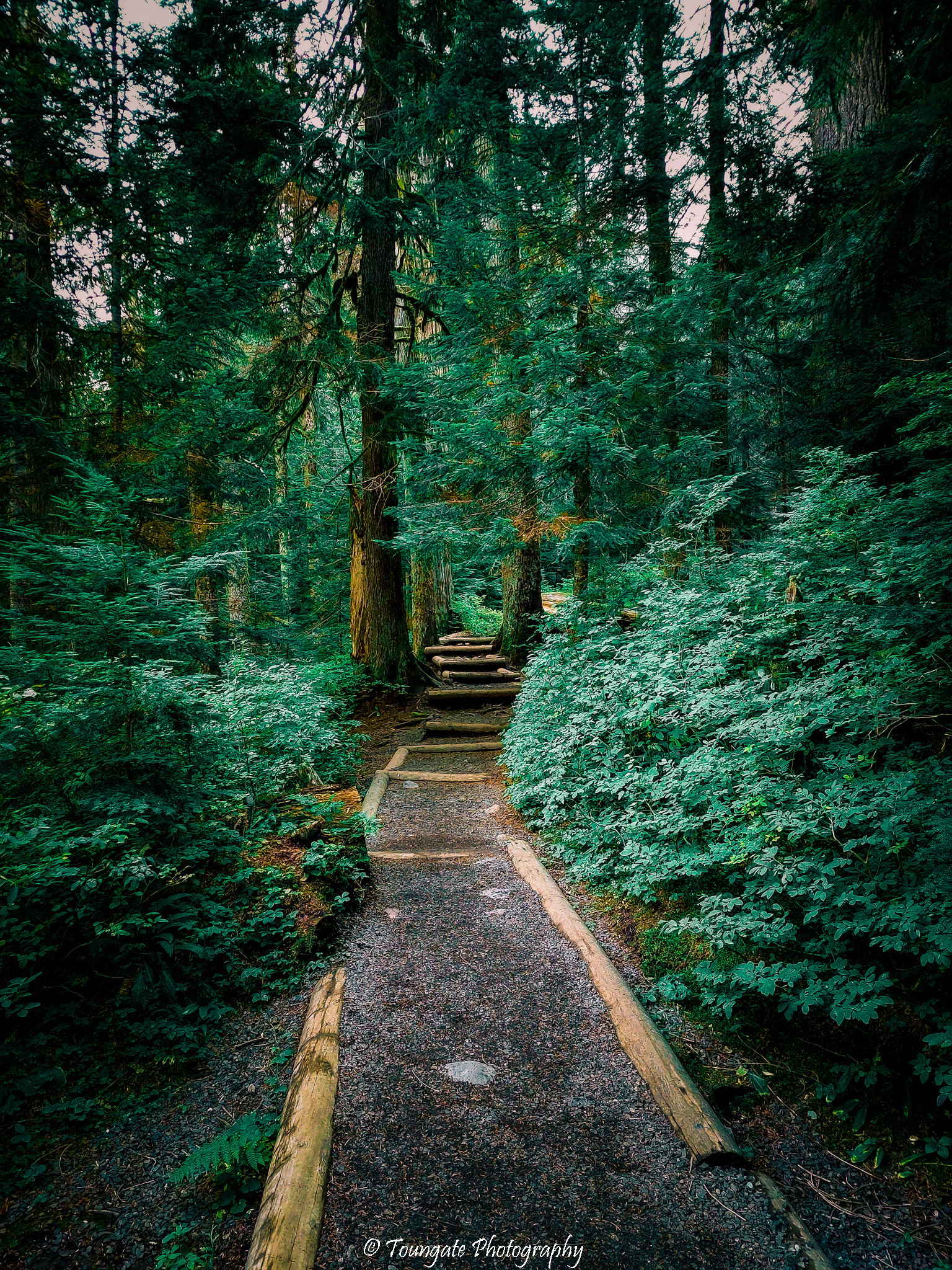 Franklin Falls Trail
