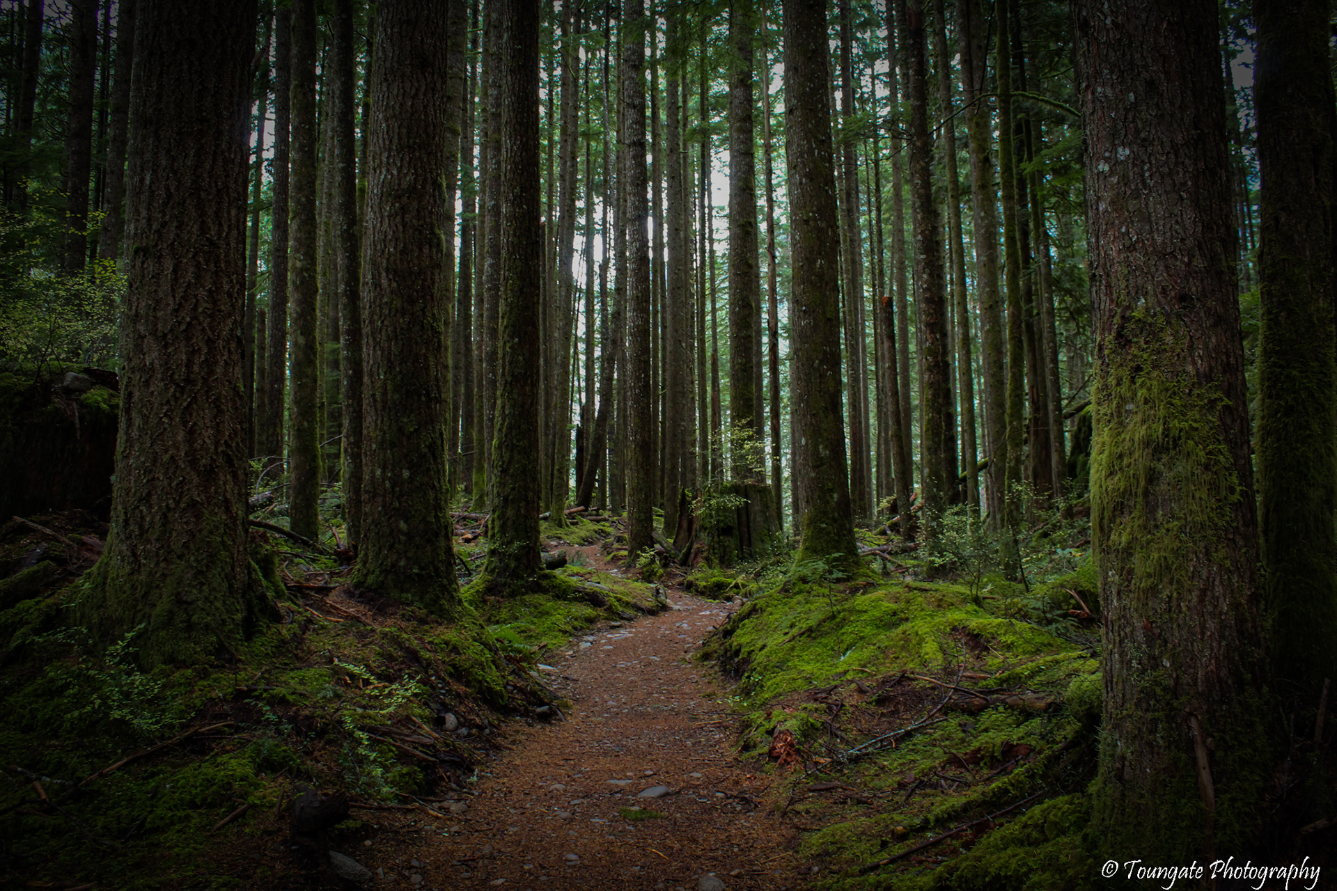 Garfield Ledges Trail