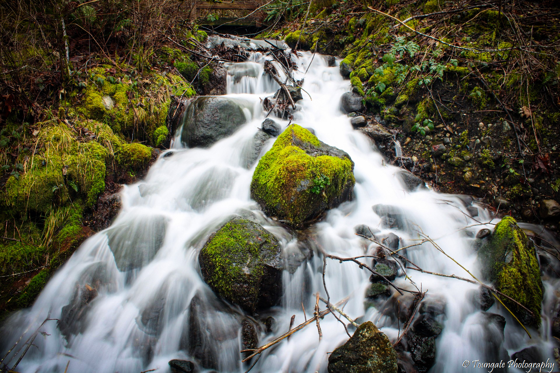 Near Rattlesnake Lake