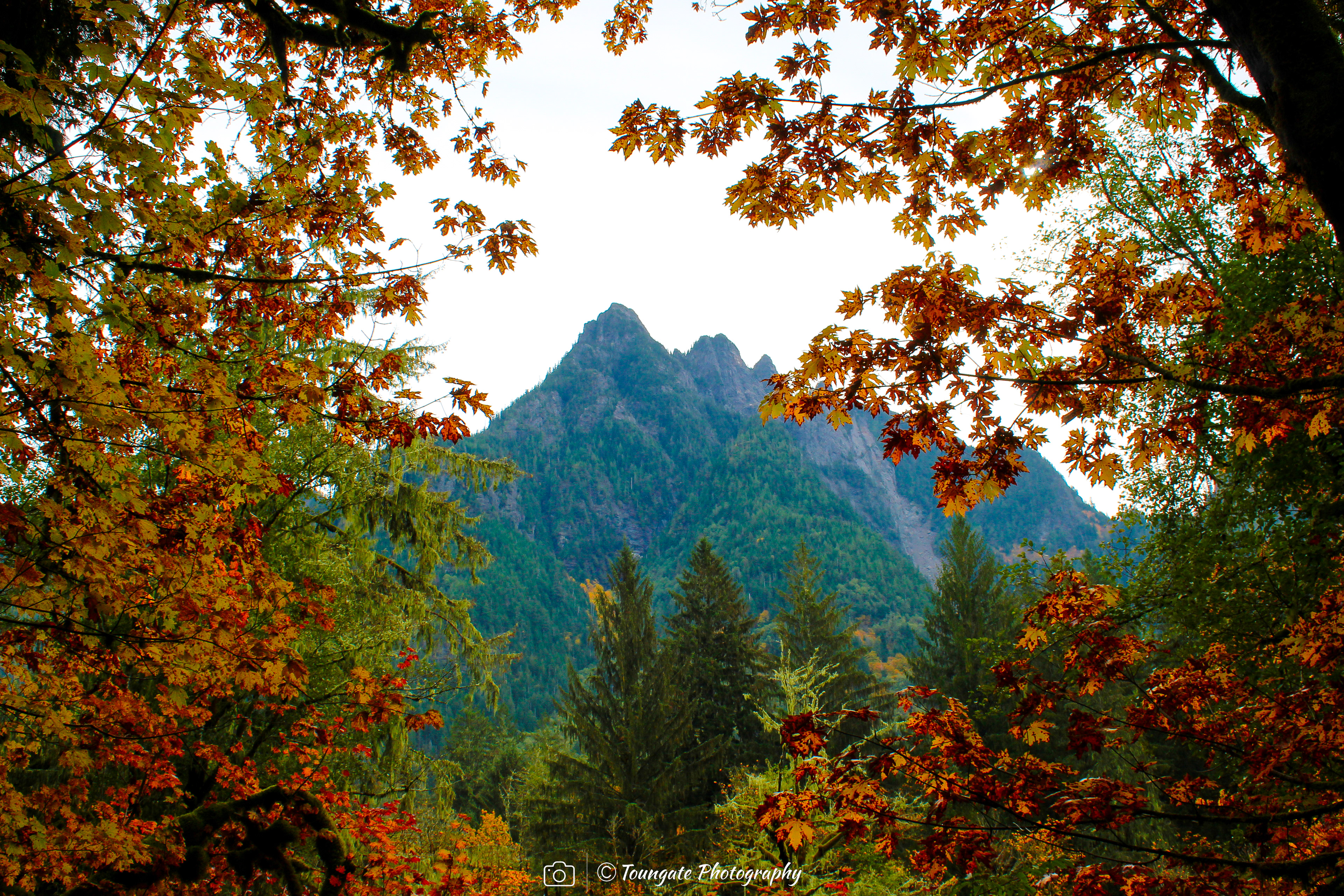 Stegosaurus Peak 