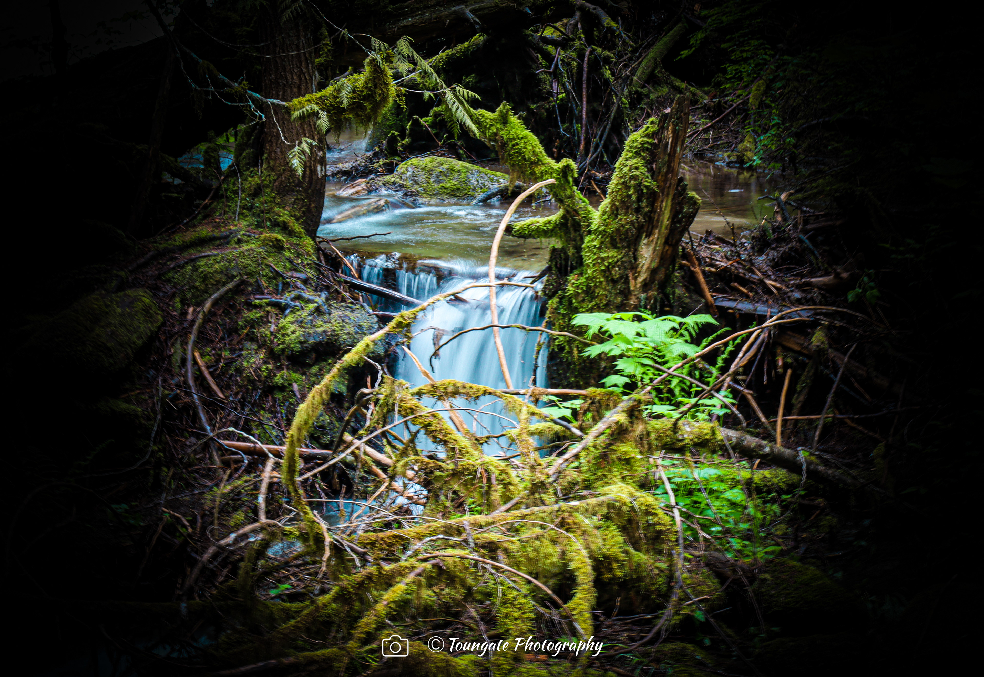 Deception Falls