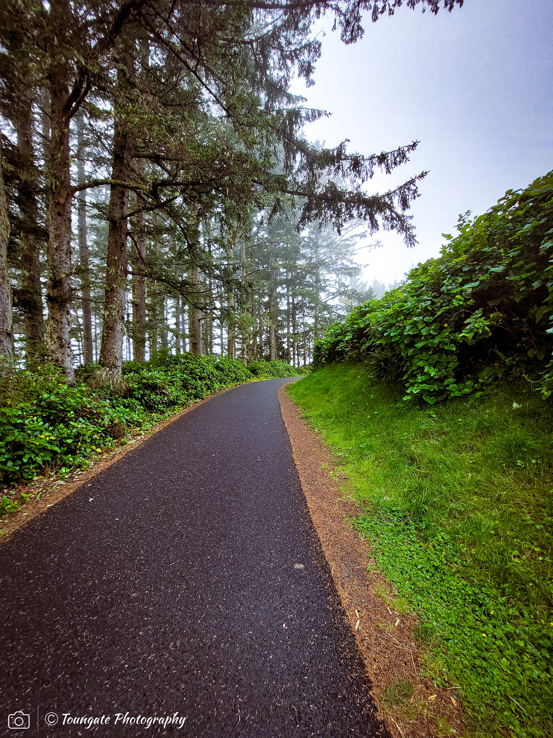 North Head Lighthouse Trail