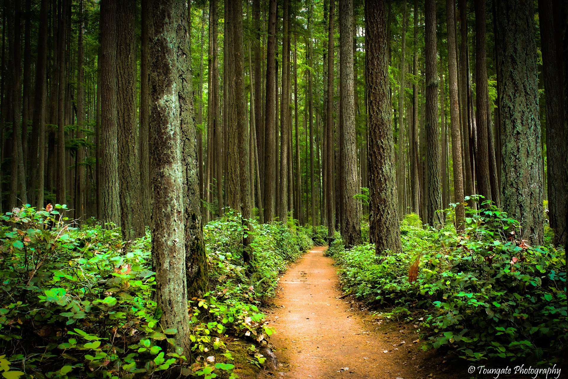 Bridle Trails State Park