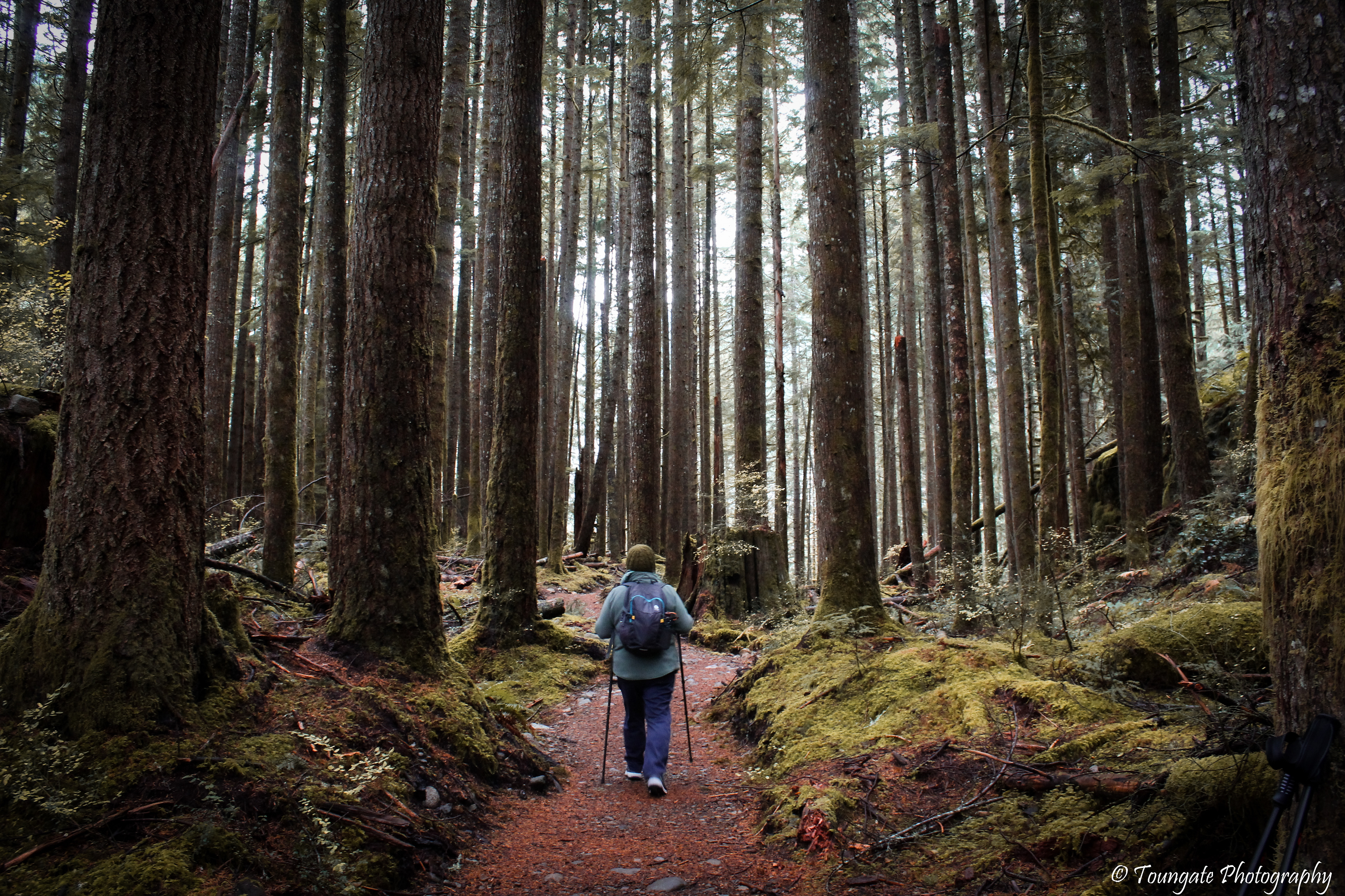 Garfield Ledges Trail