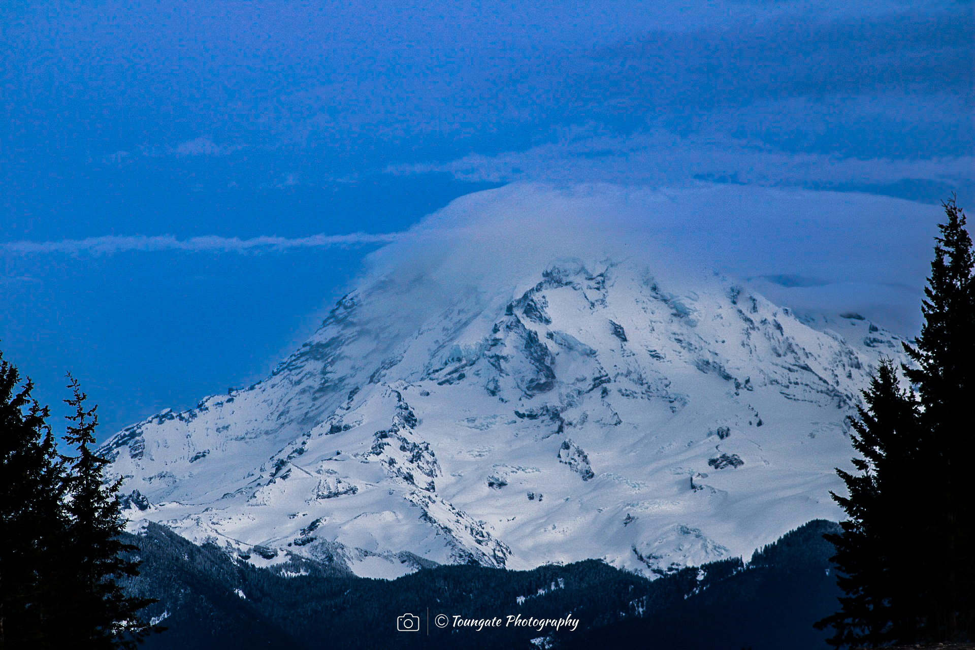 Mt. Rainier