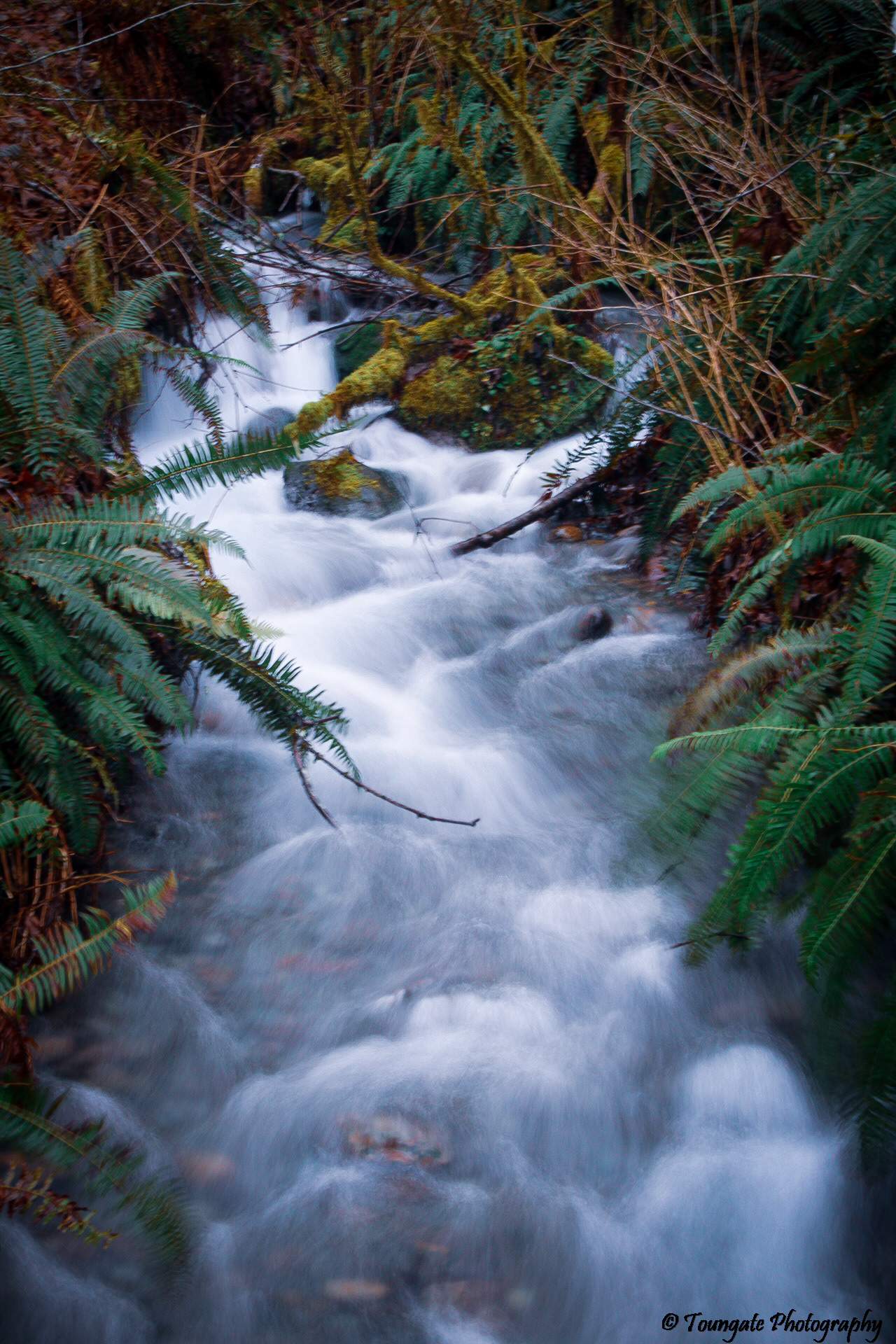 Waterfall near Rattlesnake Lake
