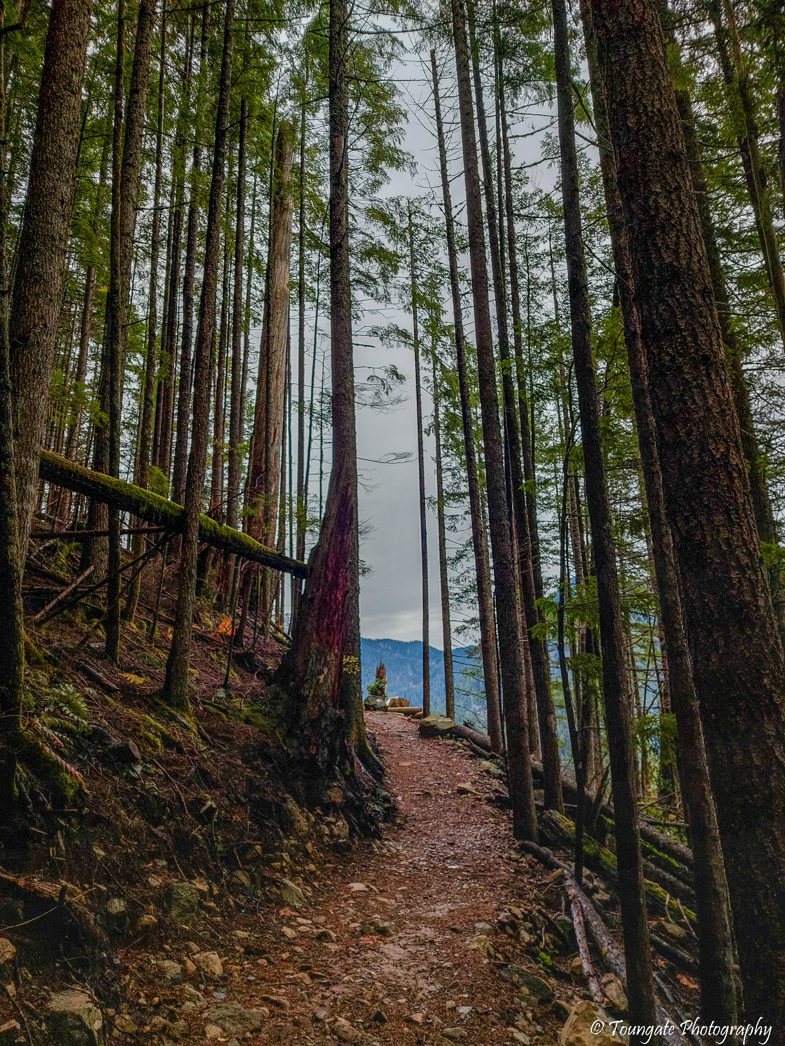 Garfield Ledges