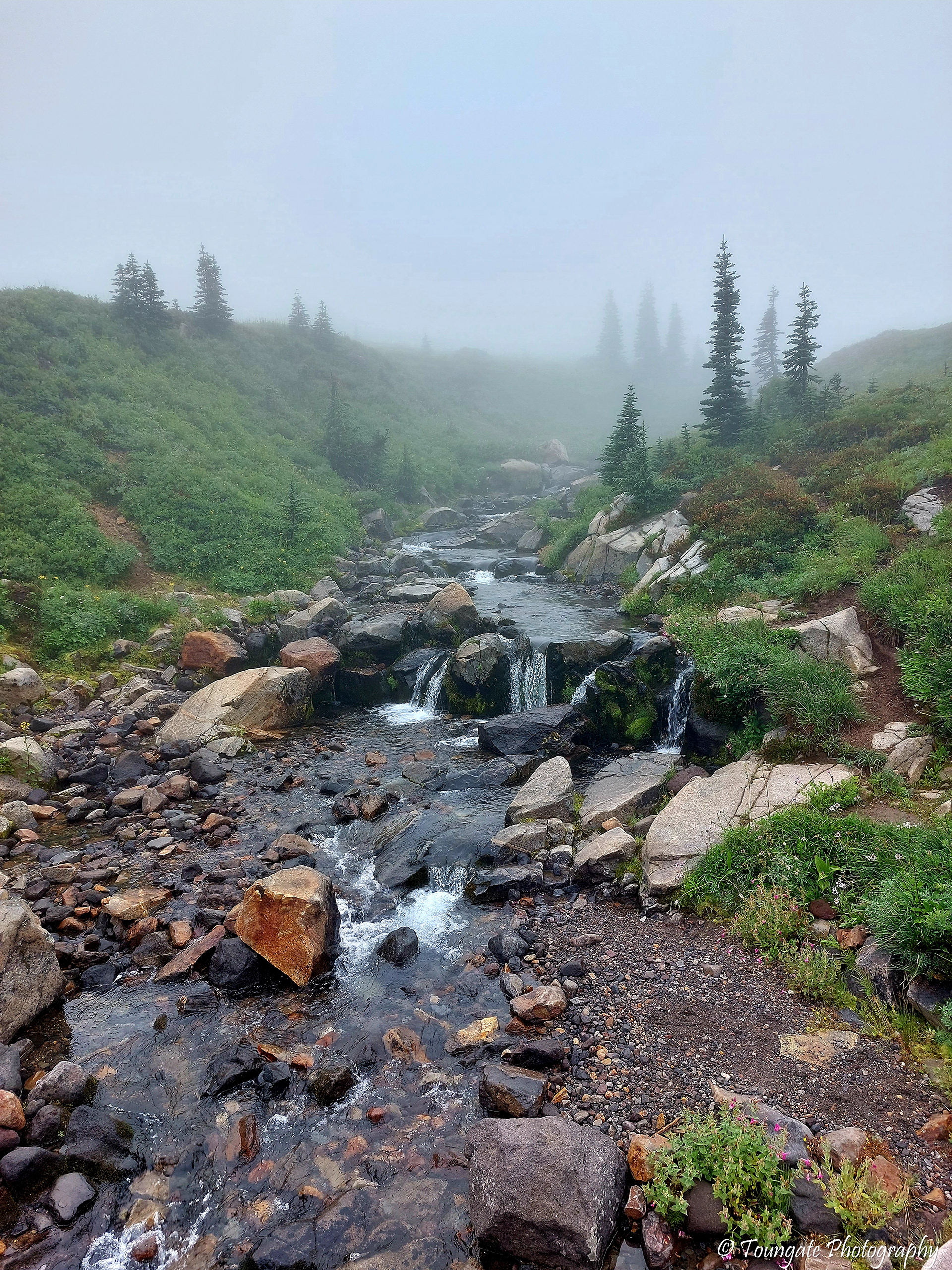 Above Myrtle Falls