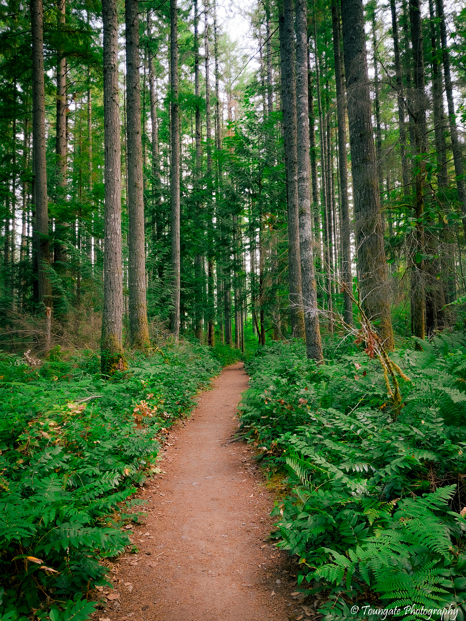 Bridle Trails State Park