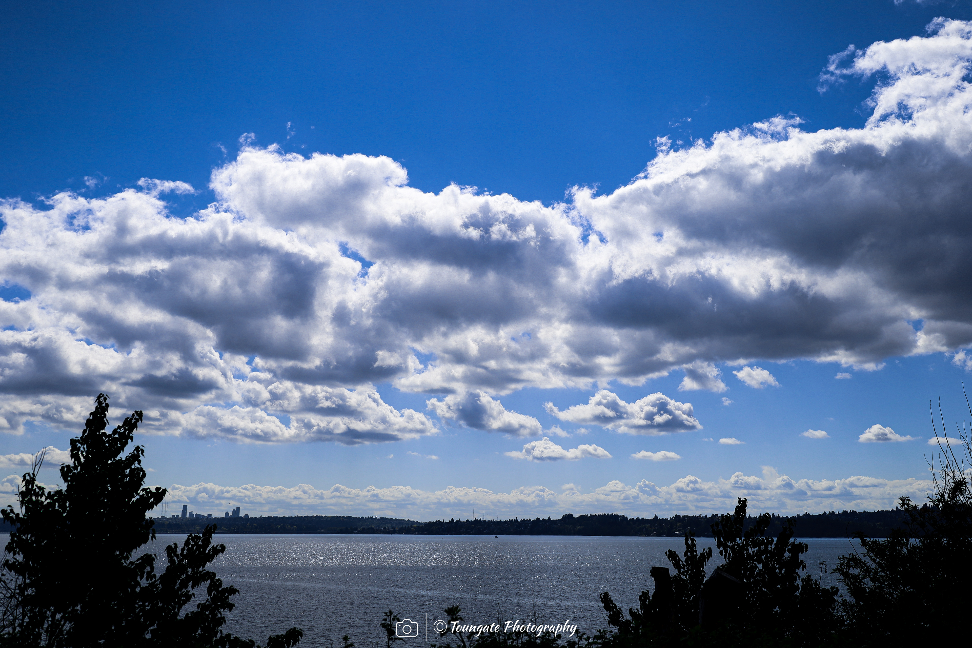 Lake Washington